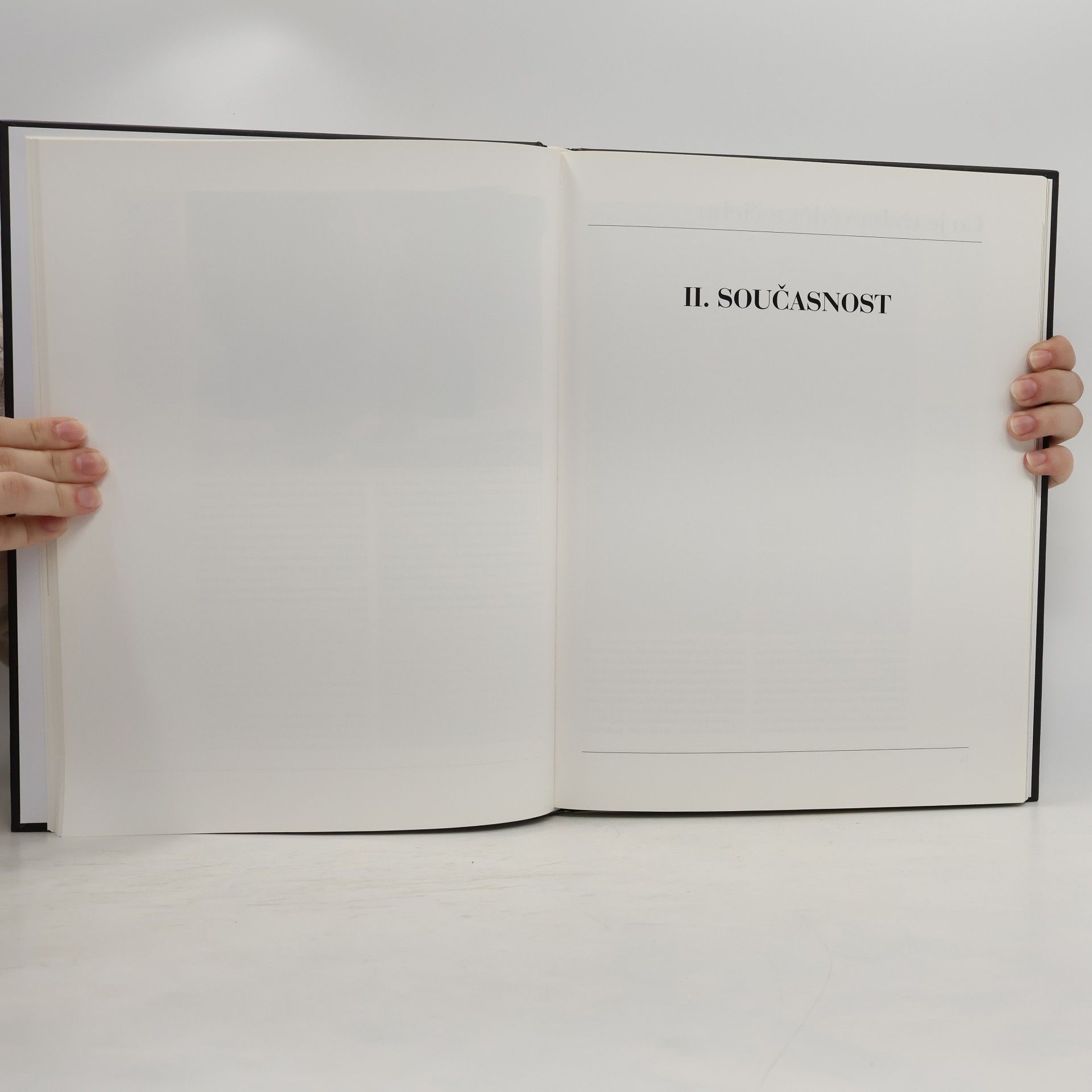 Collectif d'auteurs Parfémy století : svět vůní, flakonů a značek