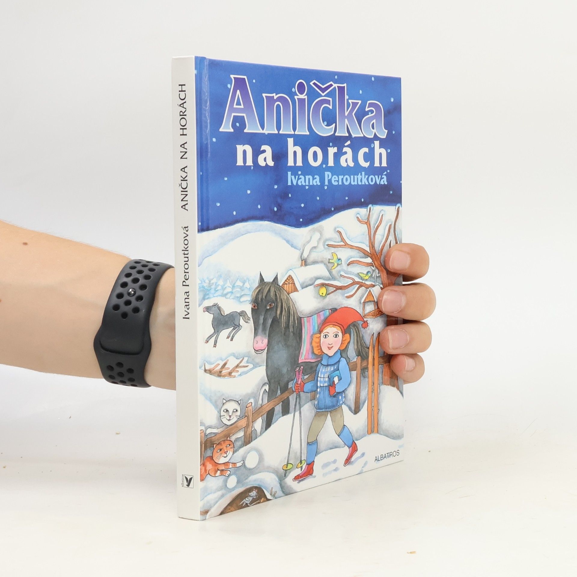 Anička na horách
