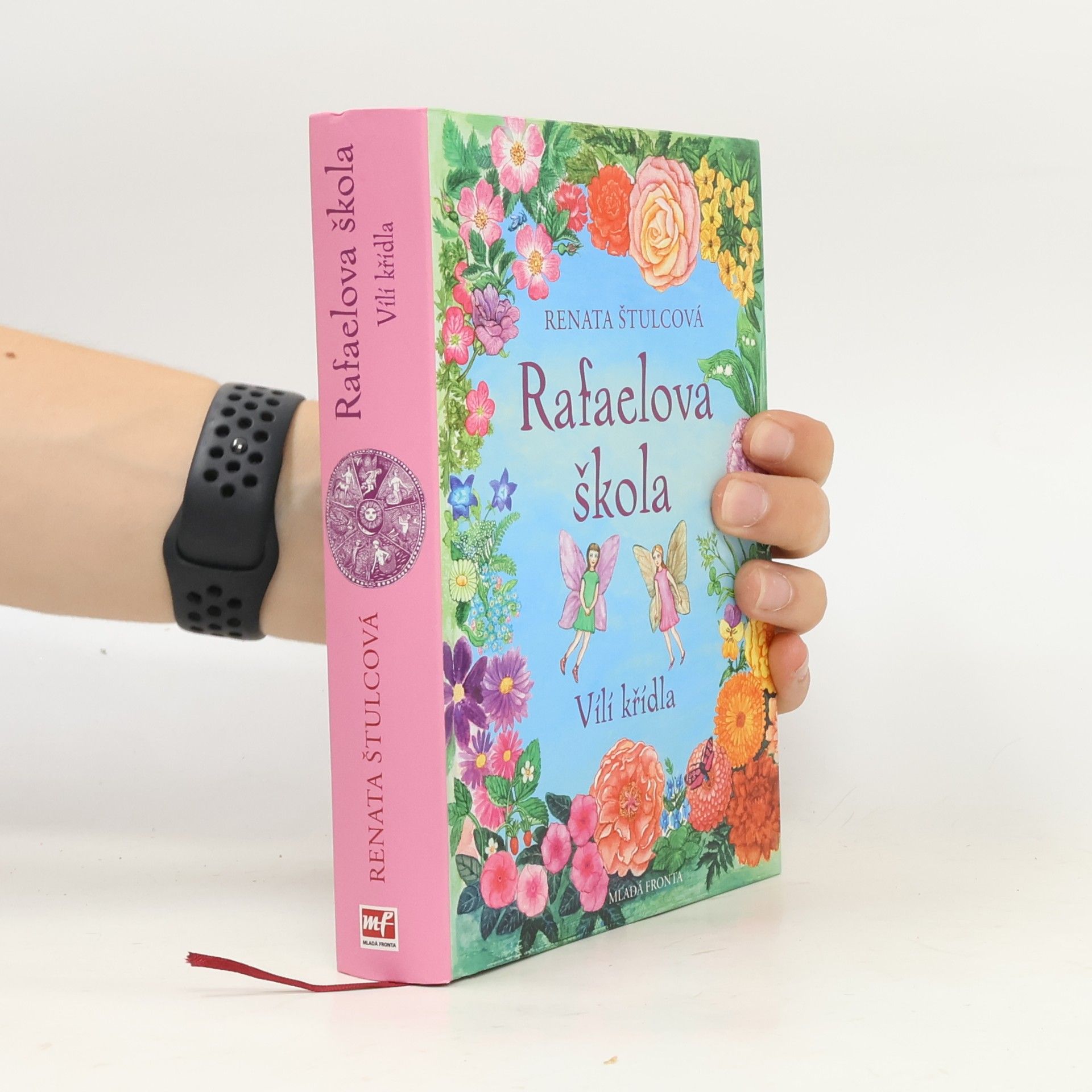 Renata Štulcová Rafaelova škola. Vílí křídla