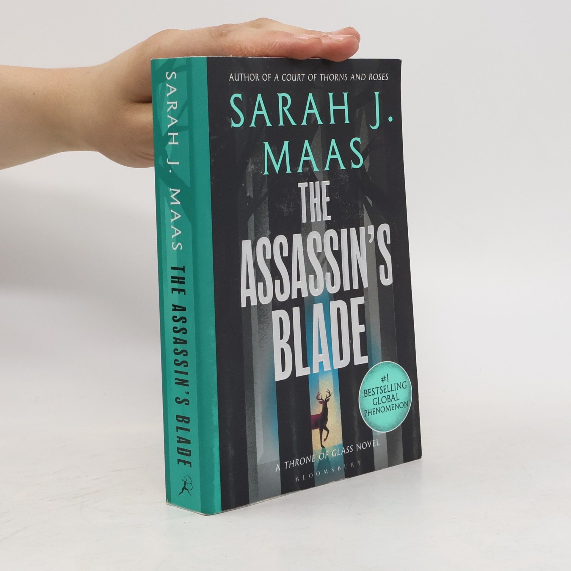 Sarah J. Maas The Assassin's Blade