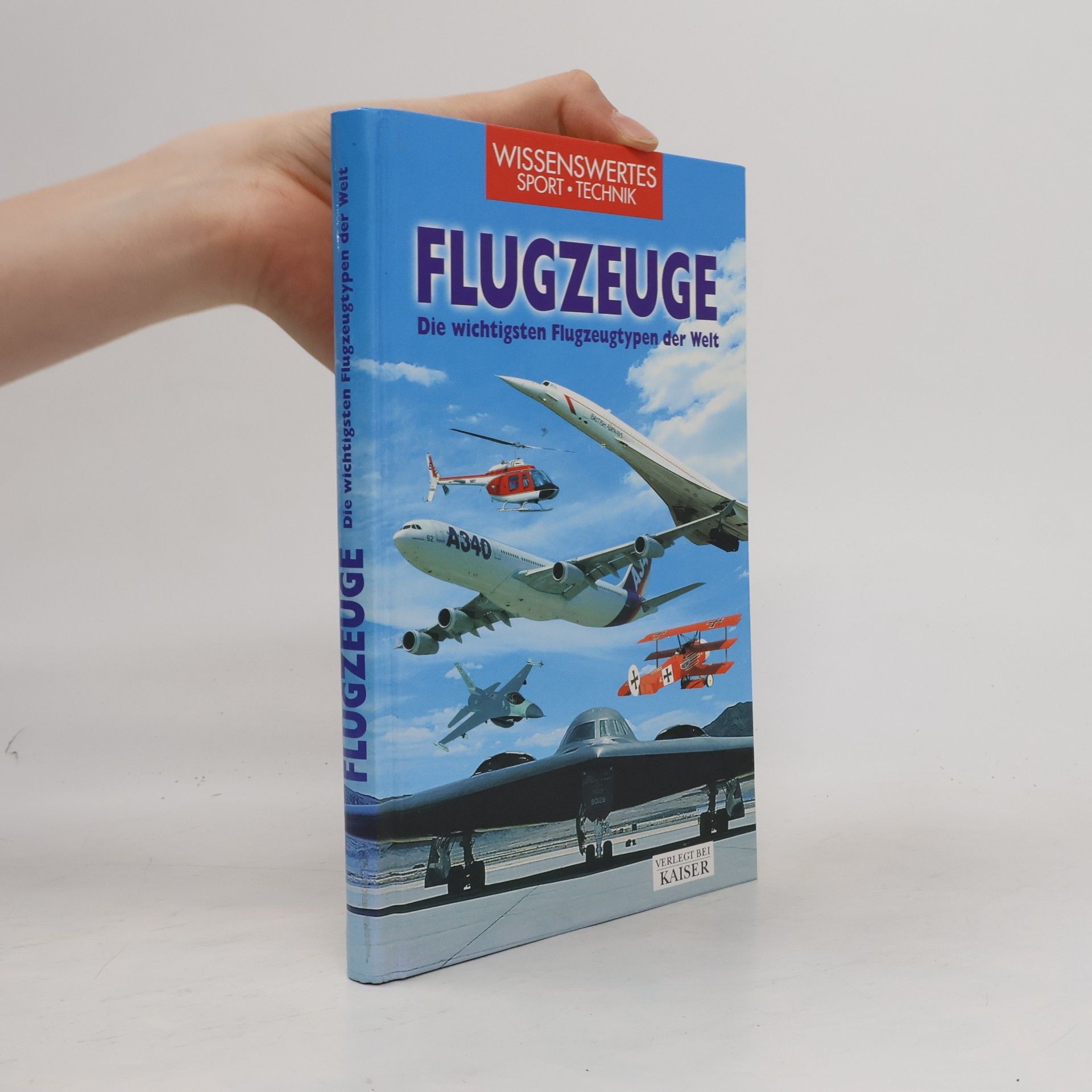 Riccardo Niccoli Flugzeuge