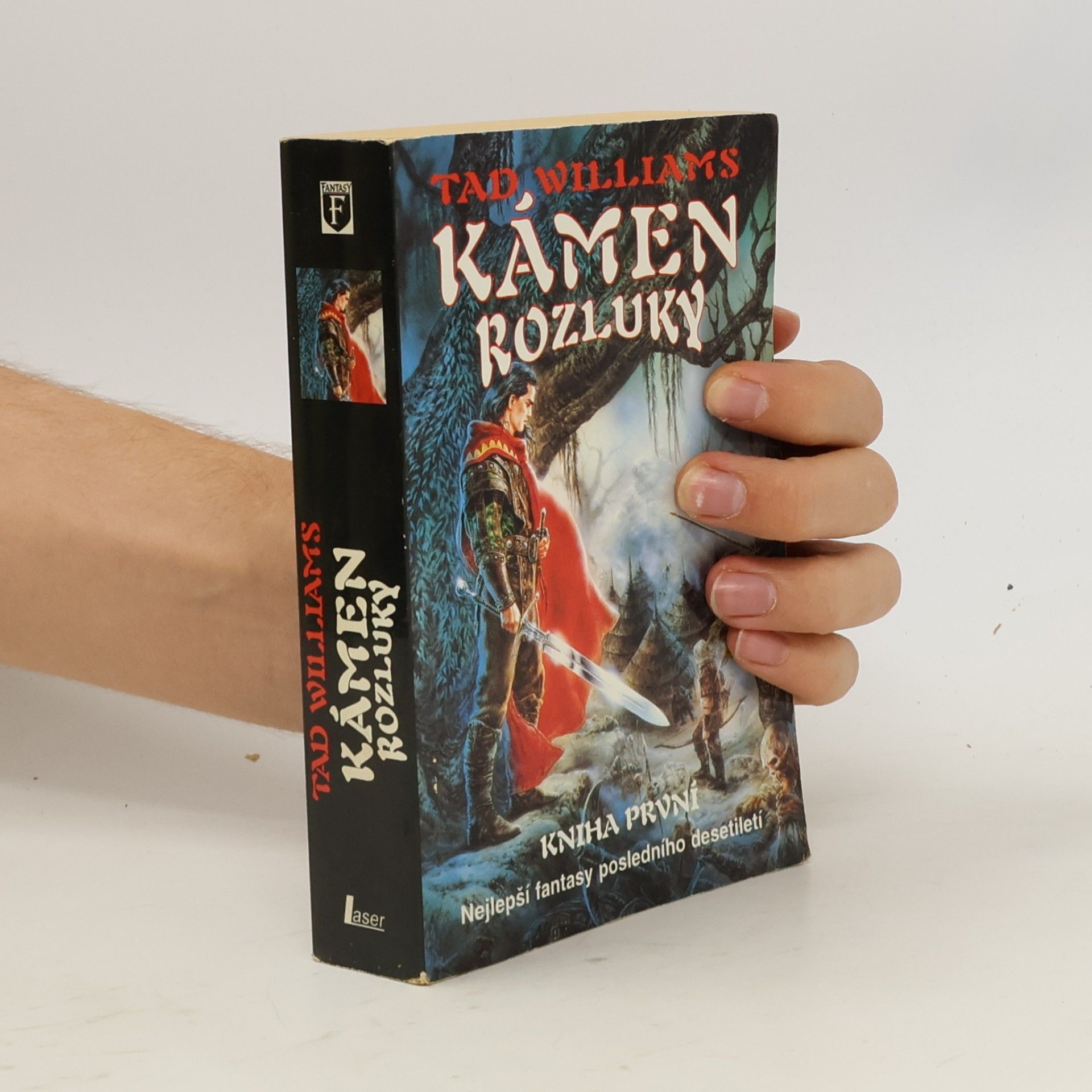Tad Williams Kámen rozluky. Kniha první.