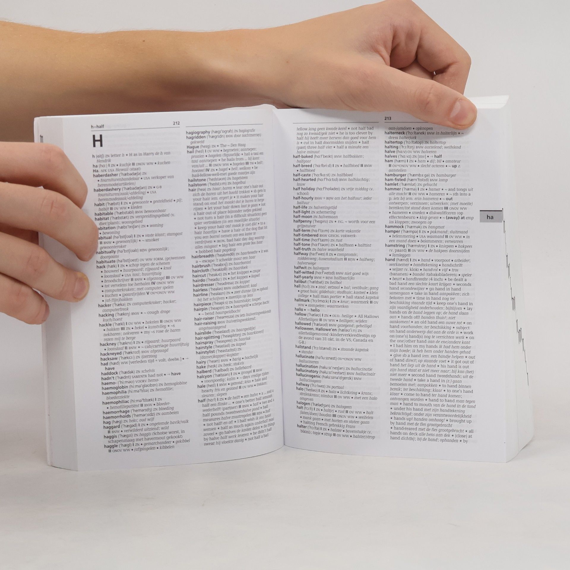 Kolektiv autorů Woordenboek Engels Nederlands