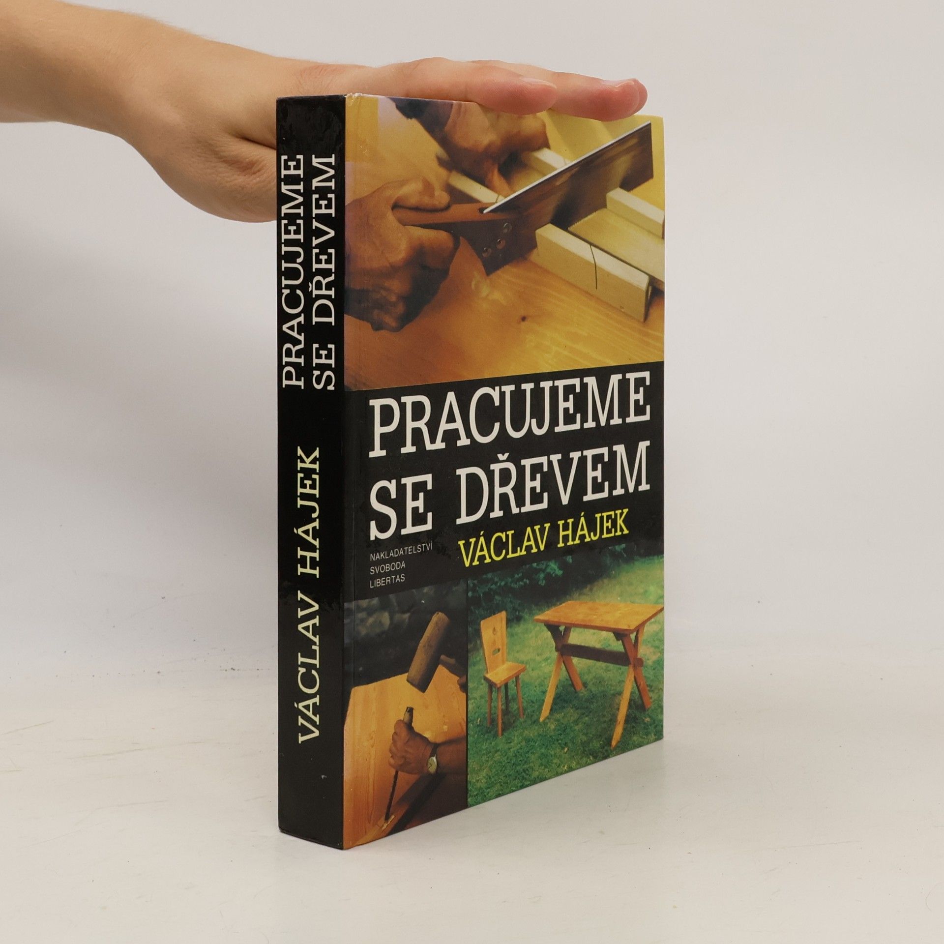 Václav Hájek Pracujeme se dřevem