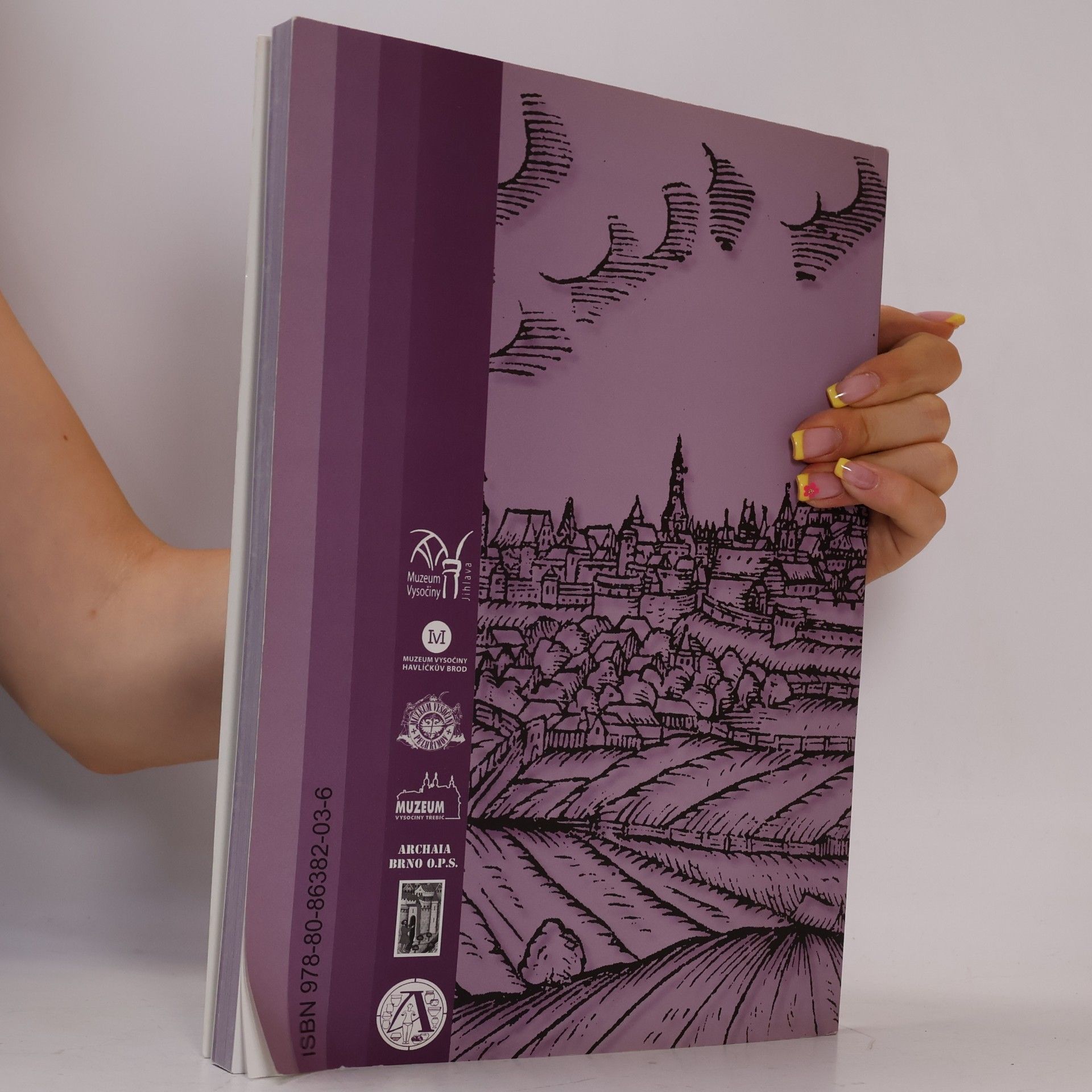 Collectif d'auteurs Vlastivědný sborník Vysočiny XII. 2000