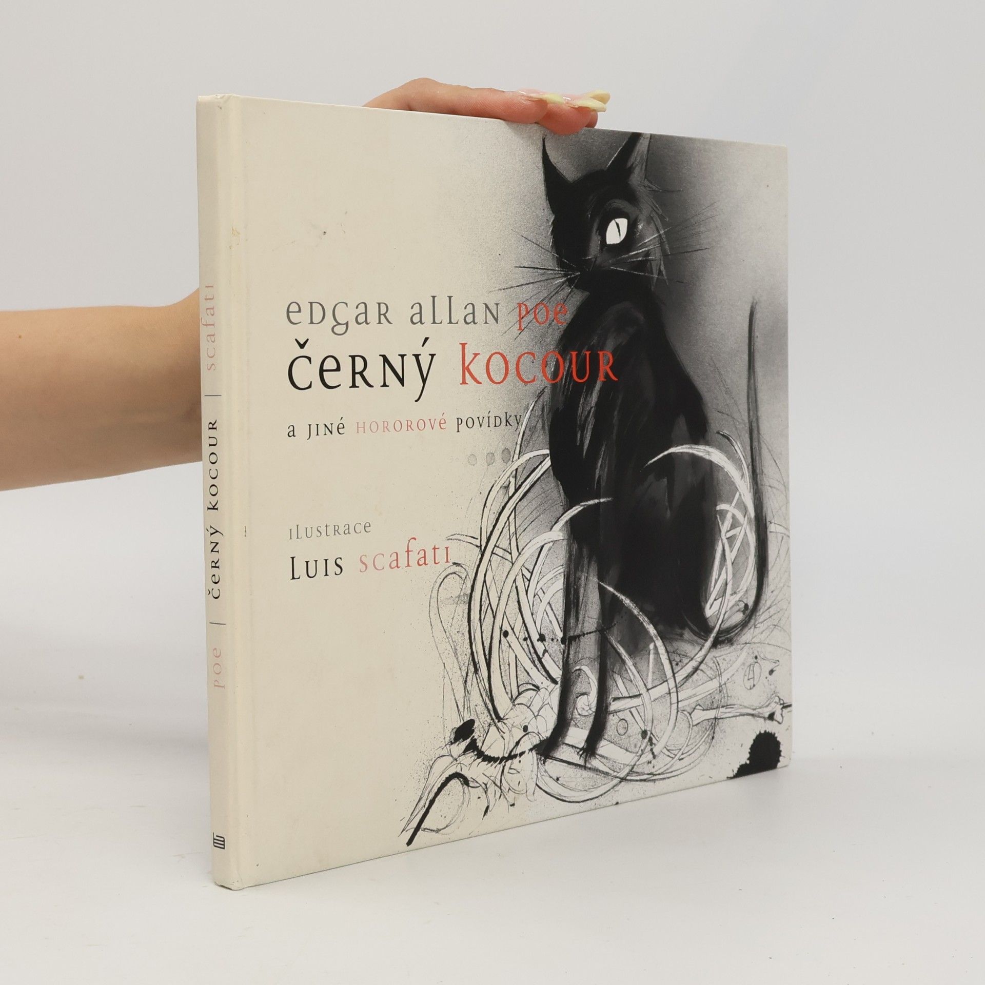 Edgar Allan Poe Černý kocour a jiné hororové povídky