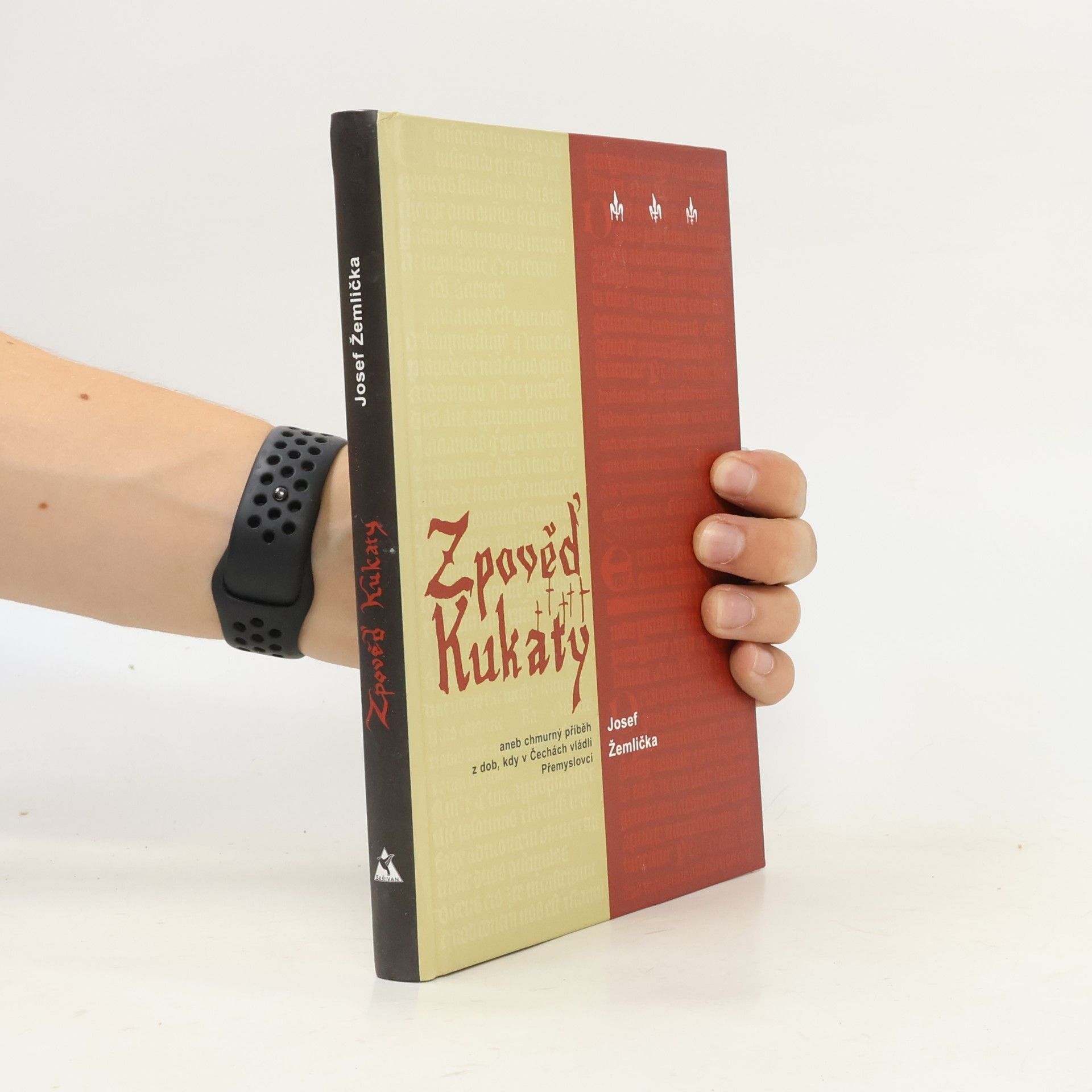 Zpověď Kukaty. Aneb chmurný příběh z doby, kdy v Čechách vládli Přemyslovci