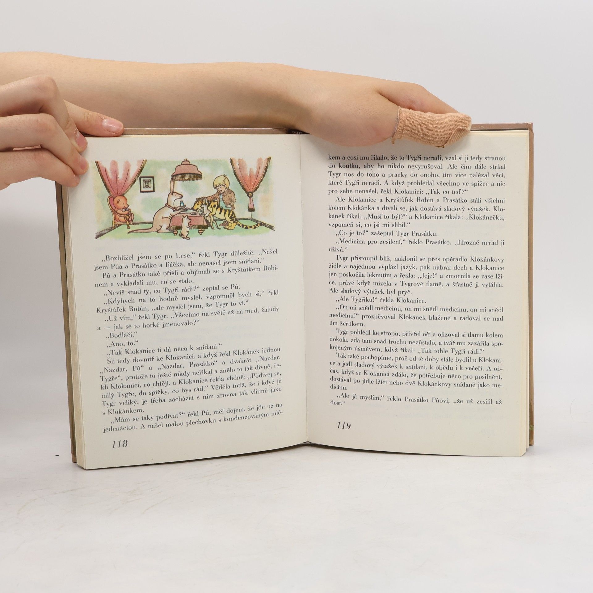 A. A. Milne Medvídek Pú
