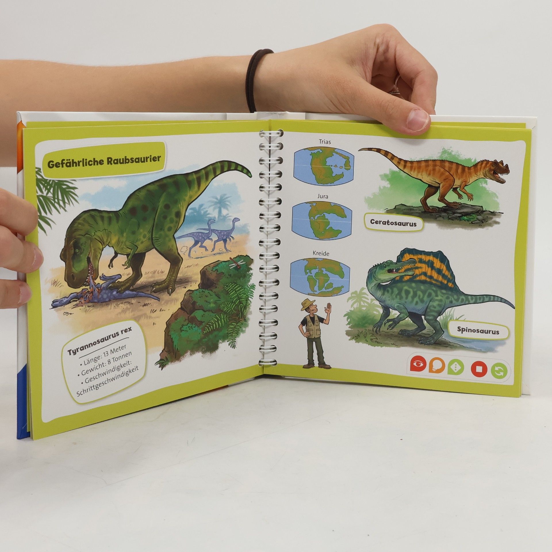 Autorenkollektiv Pocket Wissen. Dinosaurier