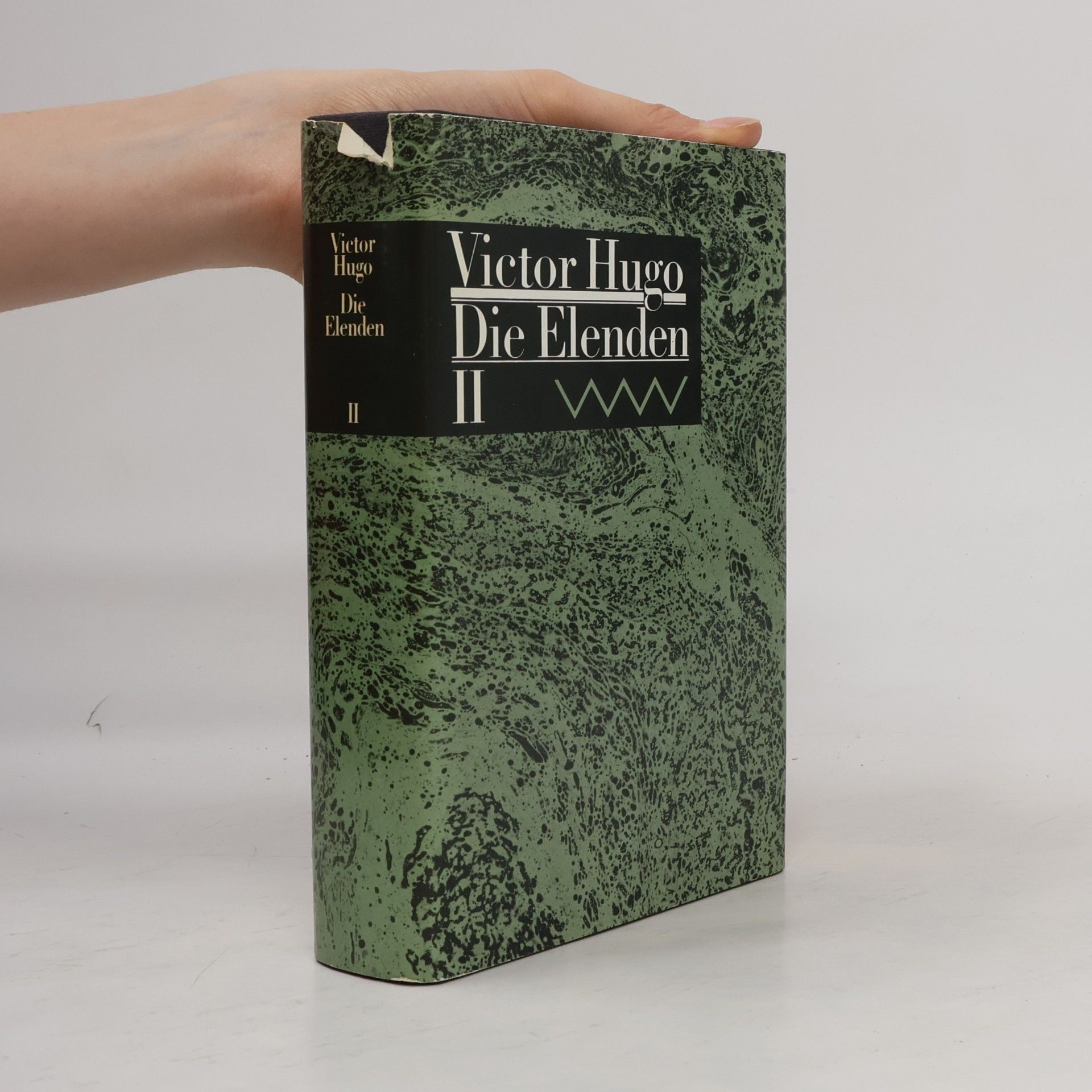 Victor Hugo Die Elenden II.