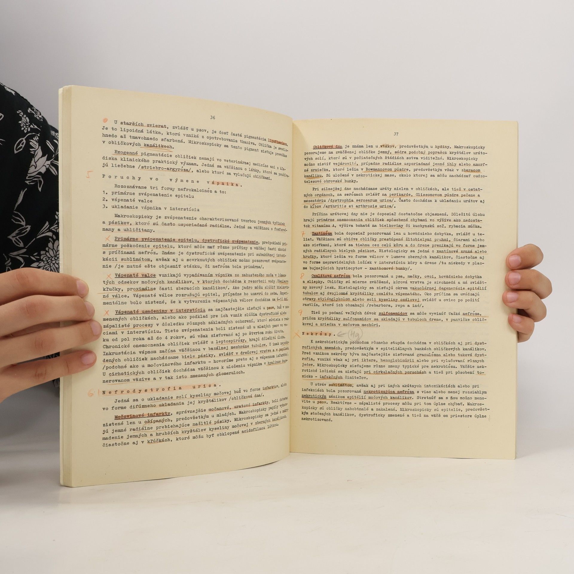 Autorenkollektiv Patologická morfológia hospodárskych zvierat II