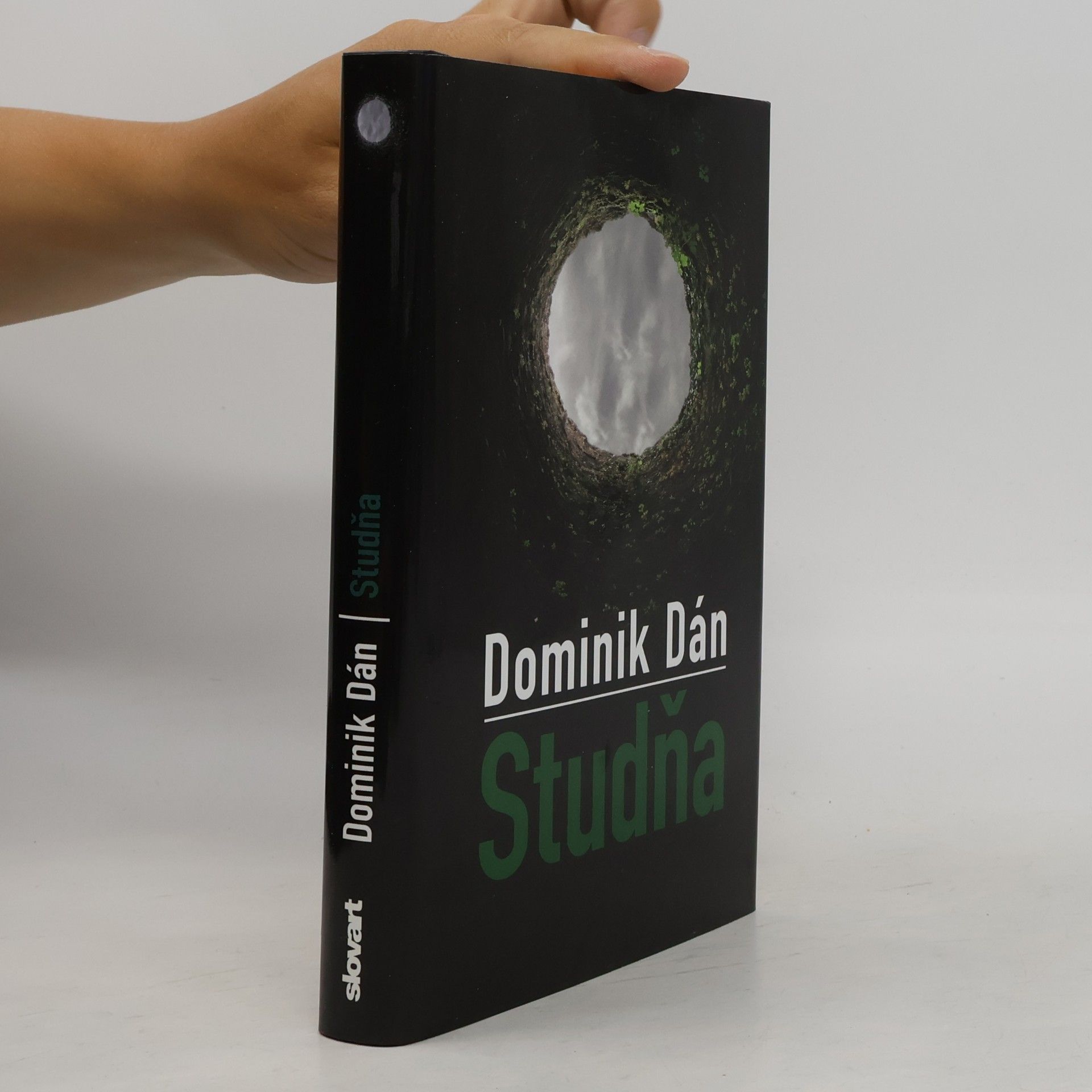 Dominik Dán Studňa
