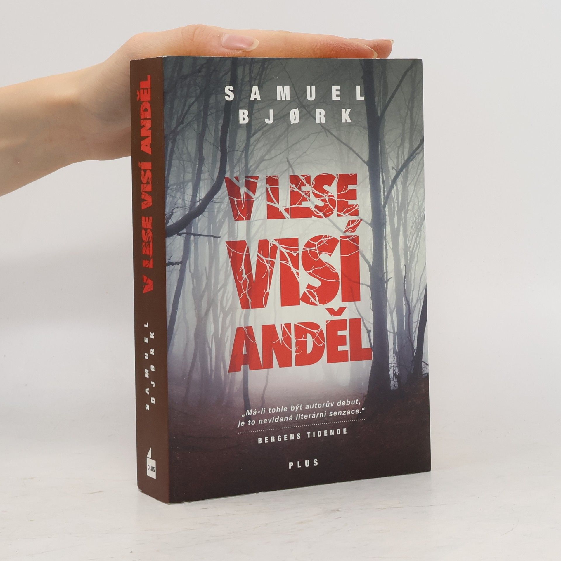 Samuel Bjork V lese visí anděl
