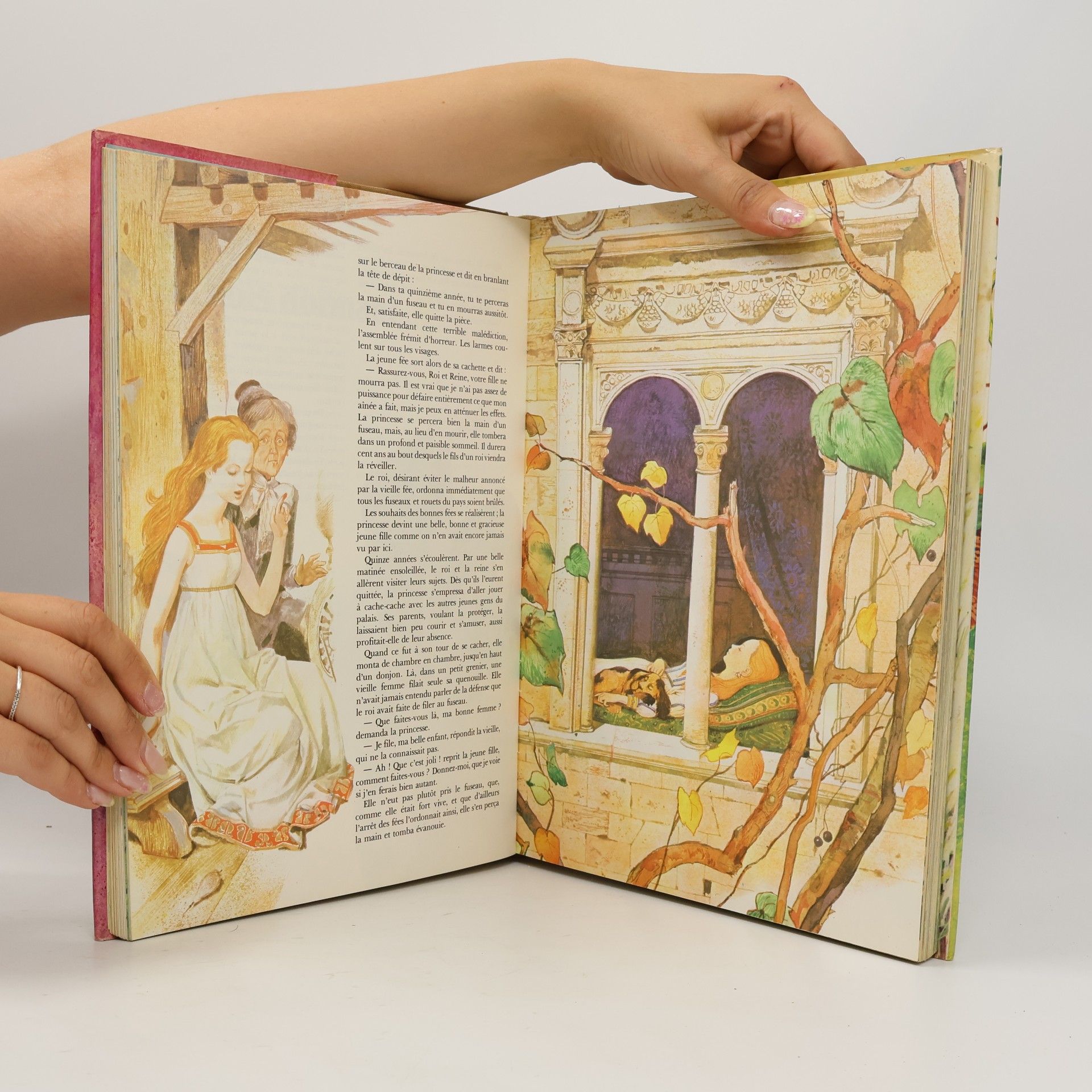 Autorenkollektiv 50 contes et histoires enchantées
