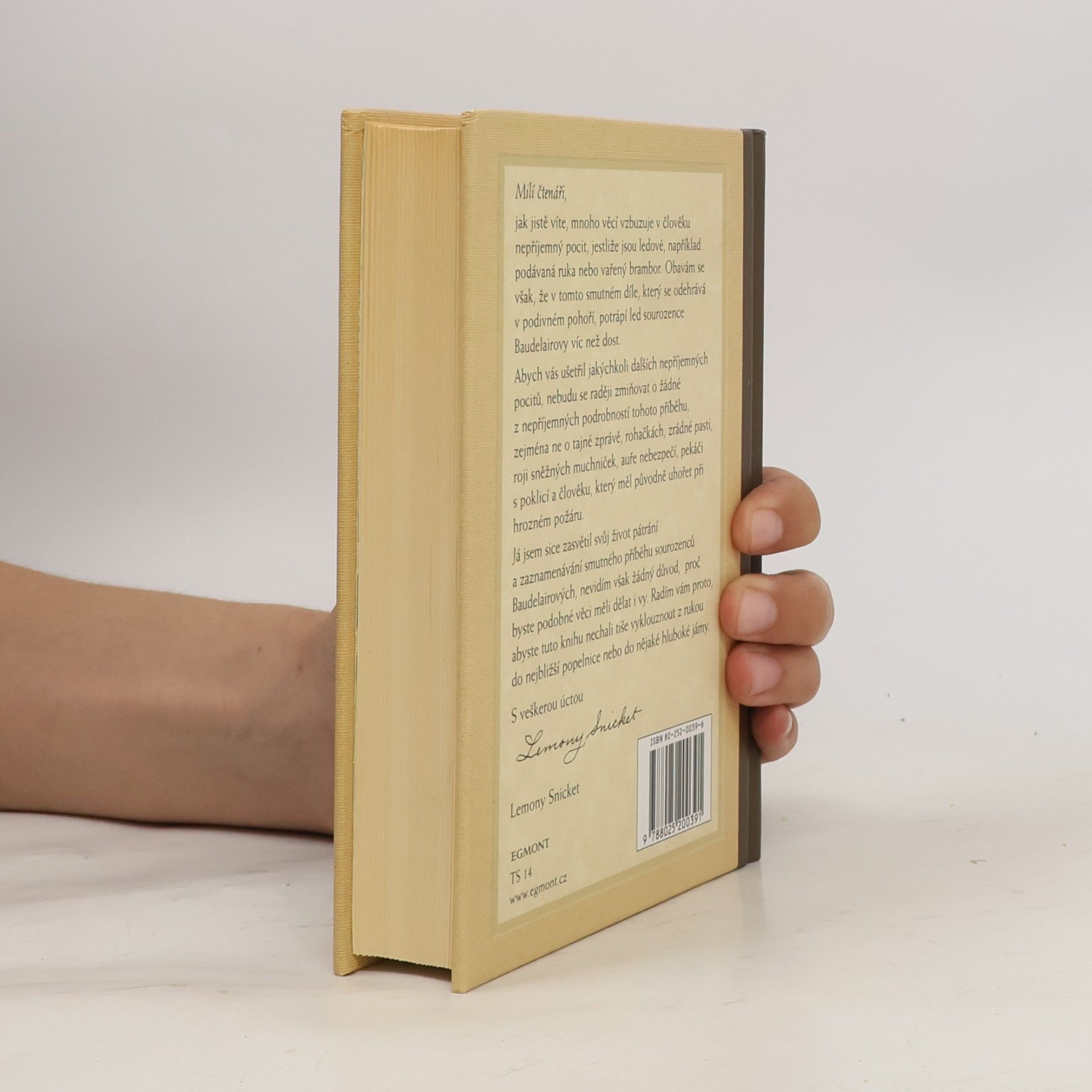 Lemony Snicket Řada nešťastných příhod. Kniha desátá, Ledová stěna