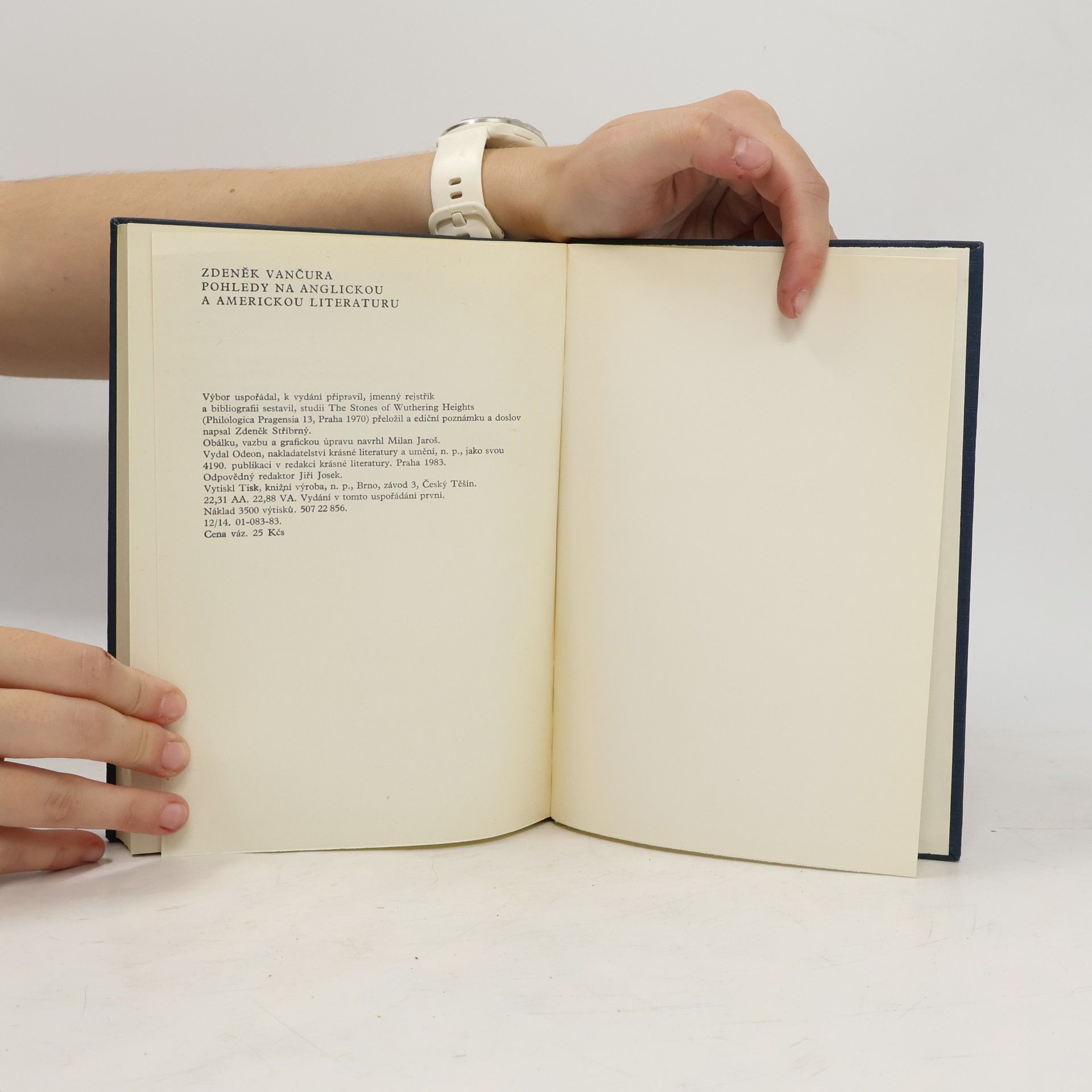 Zdeněk Vančura Pohledy na anglickou a americkou literaturu