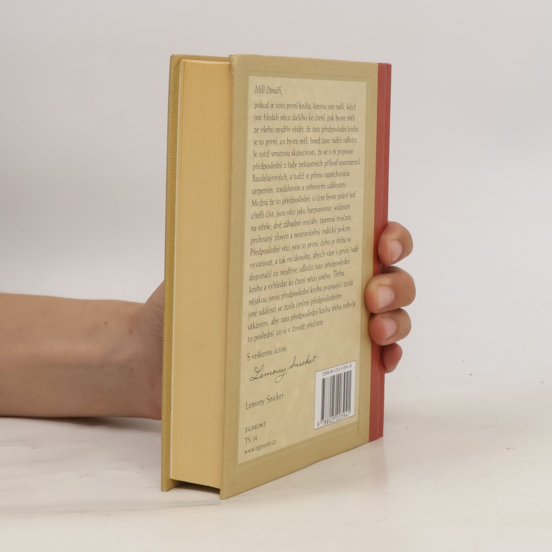 Lemony Snicket Řada nešťastných příhod. Kniha dvanáctá, Předposlední utkání
