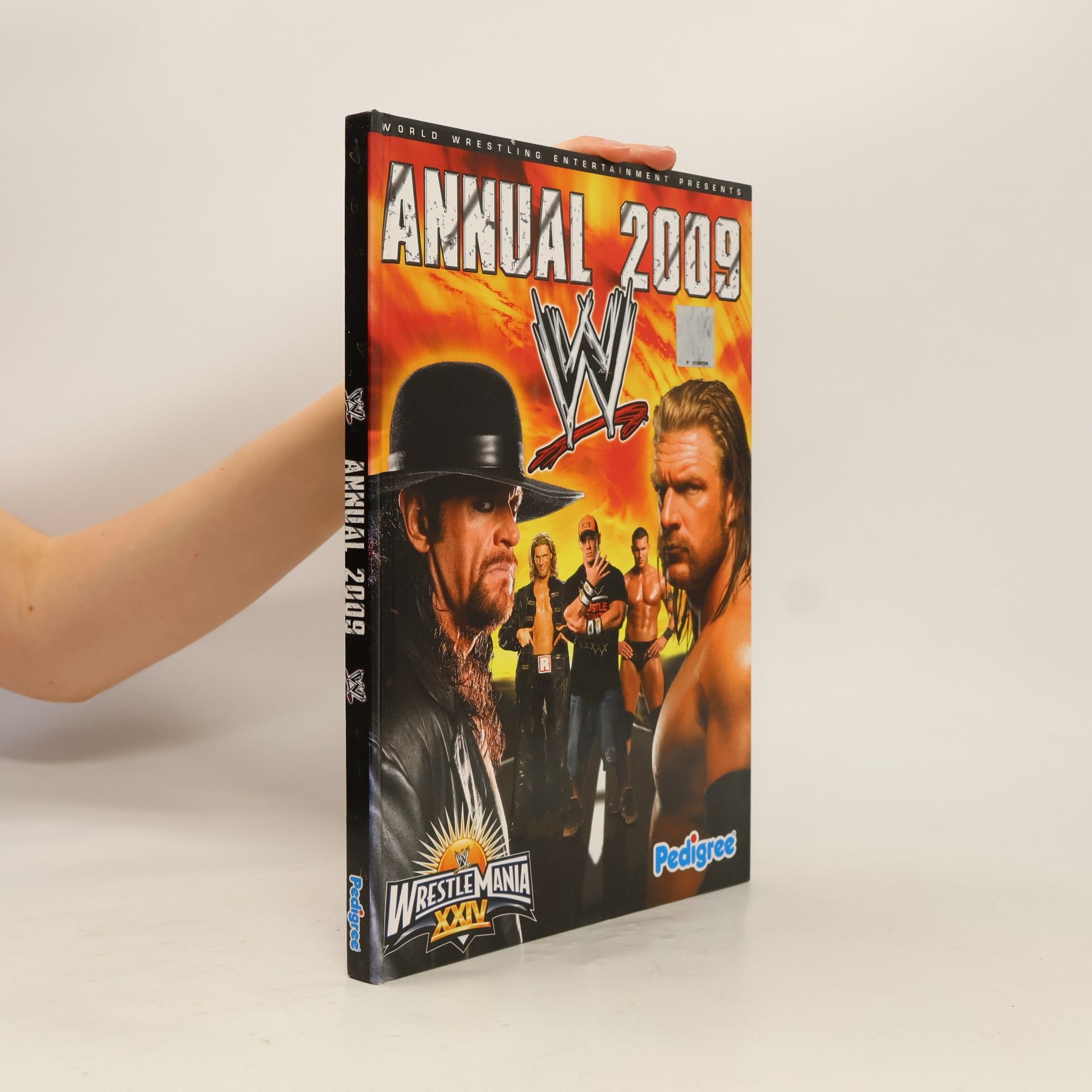 WWE Annual 2009