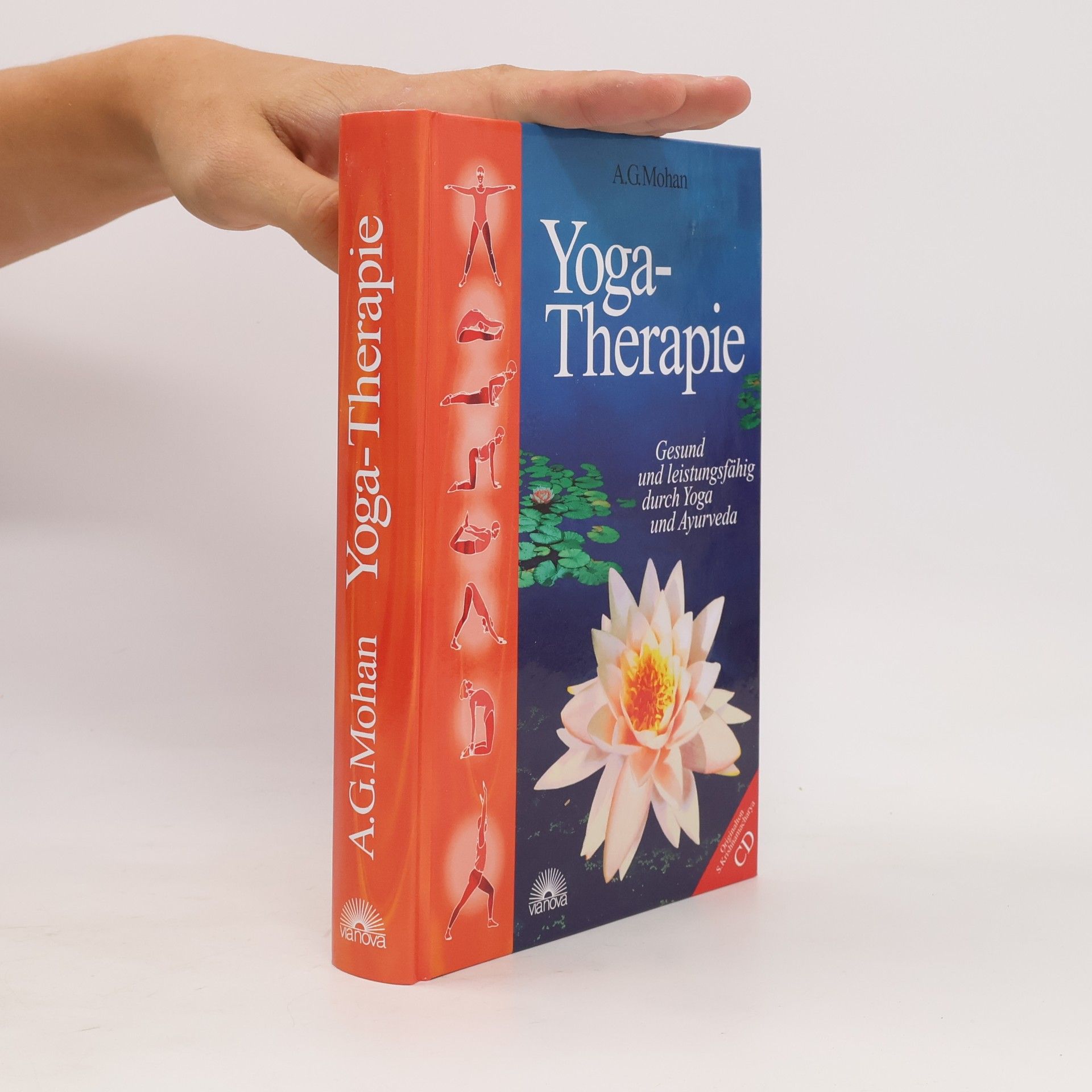 Ulrike Kramer Yoga-Therapie