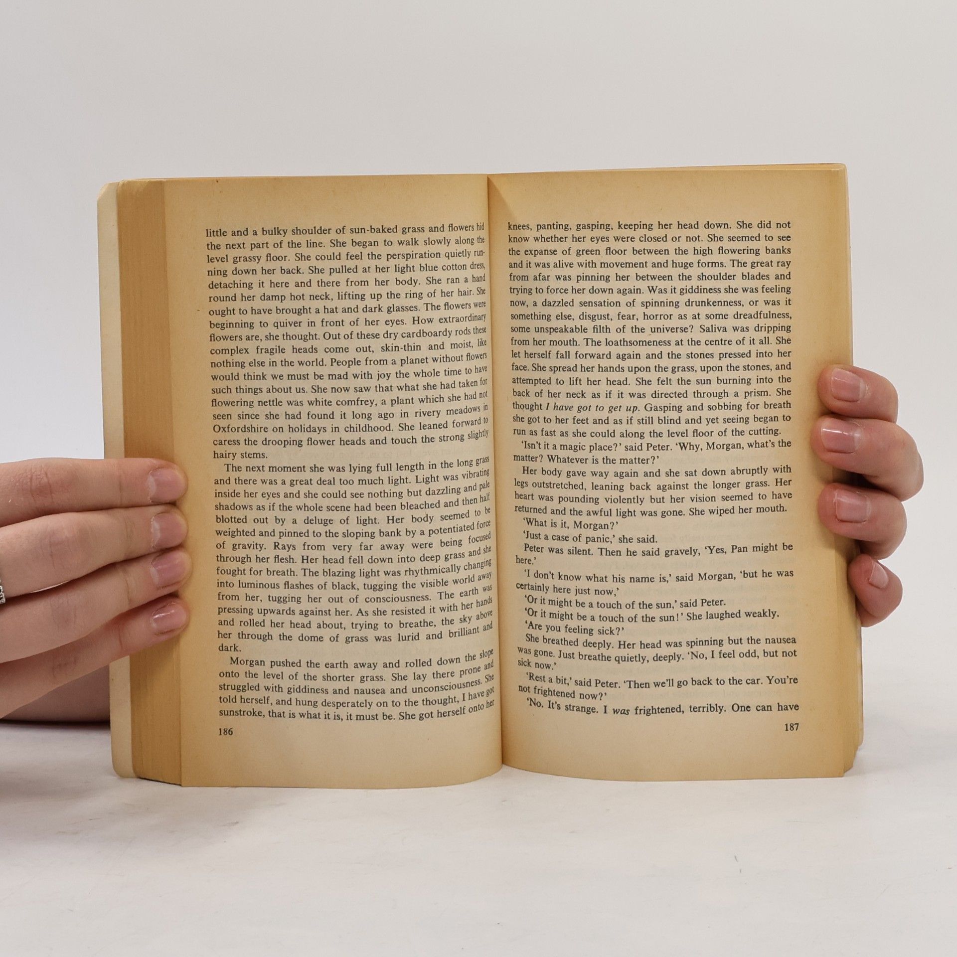 Iris Murdoch A Fairly Honourable Defeat