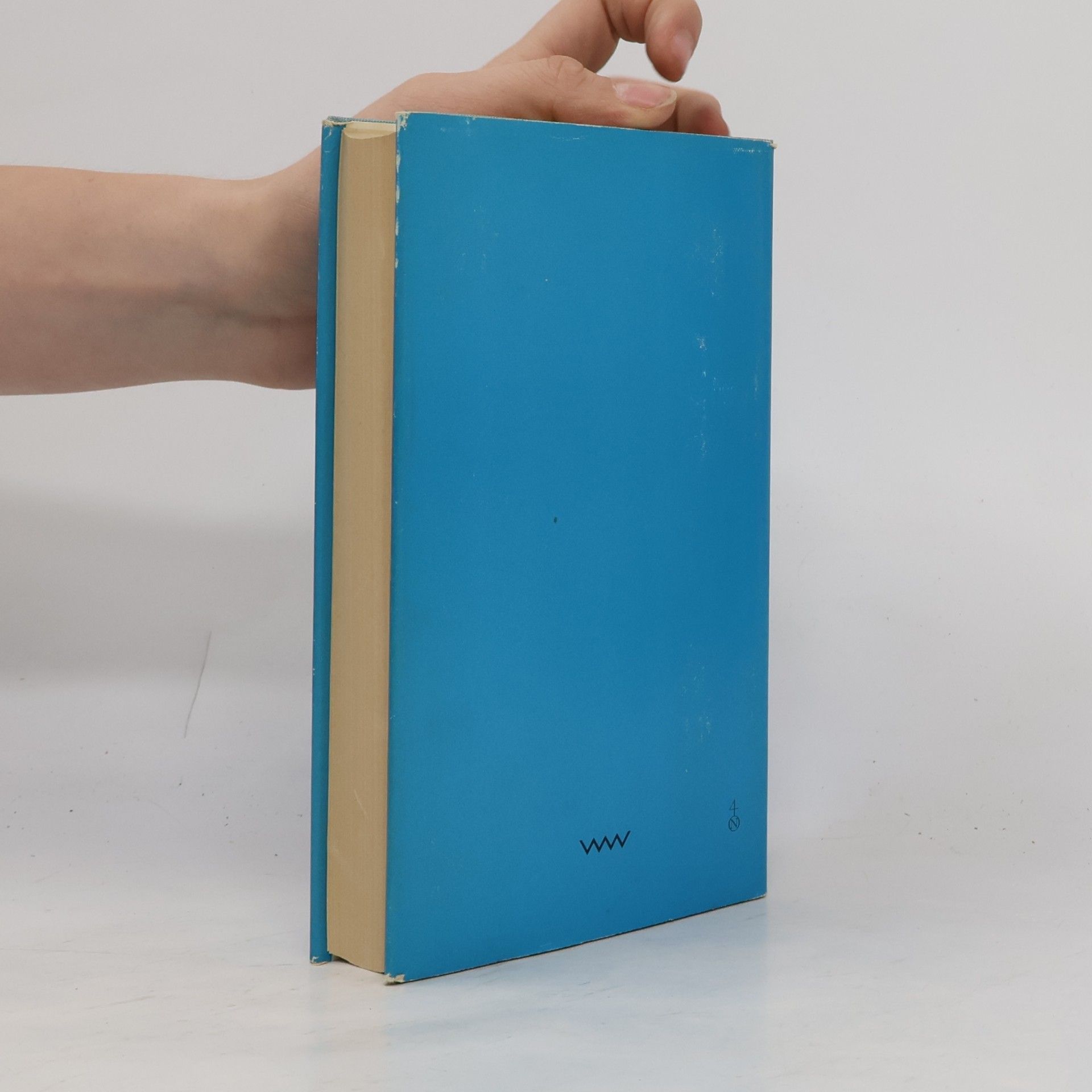 Kurt Tucholsky Ein Pyrenäenbuch Auswahl 1920 bis 1923