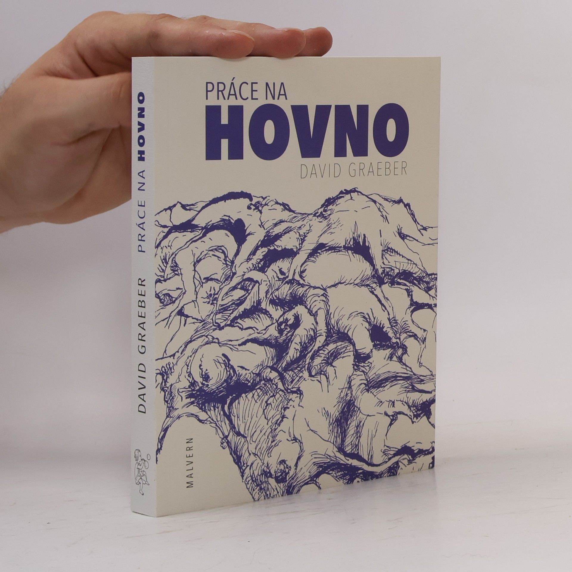 David Šír Práce na hovno