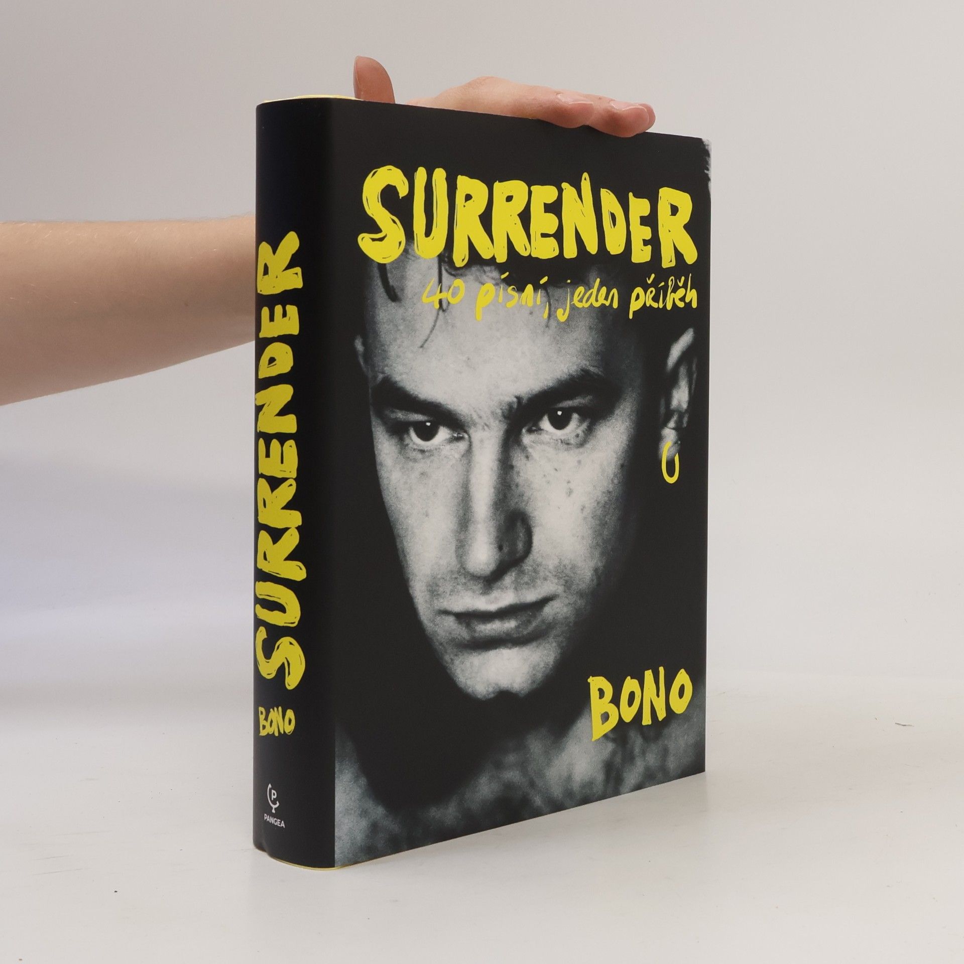 Bono Surrender : 40 písní, jeden příběh