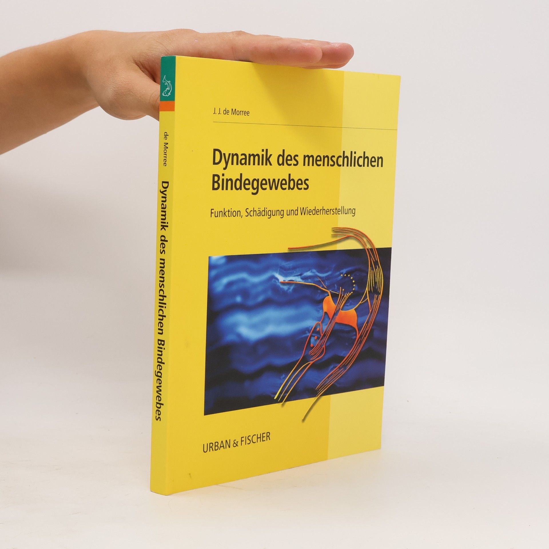 J.J. de Morree Dynamik des menschlichen Bindegewebes