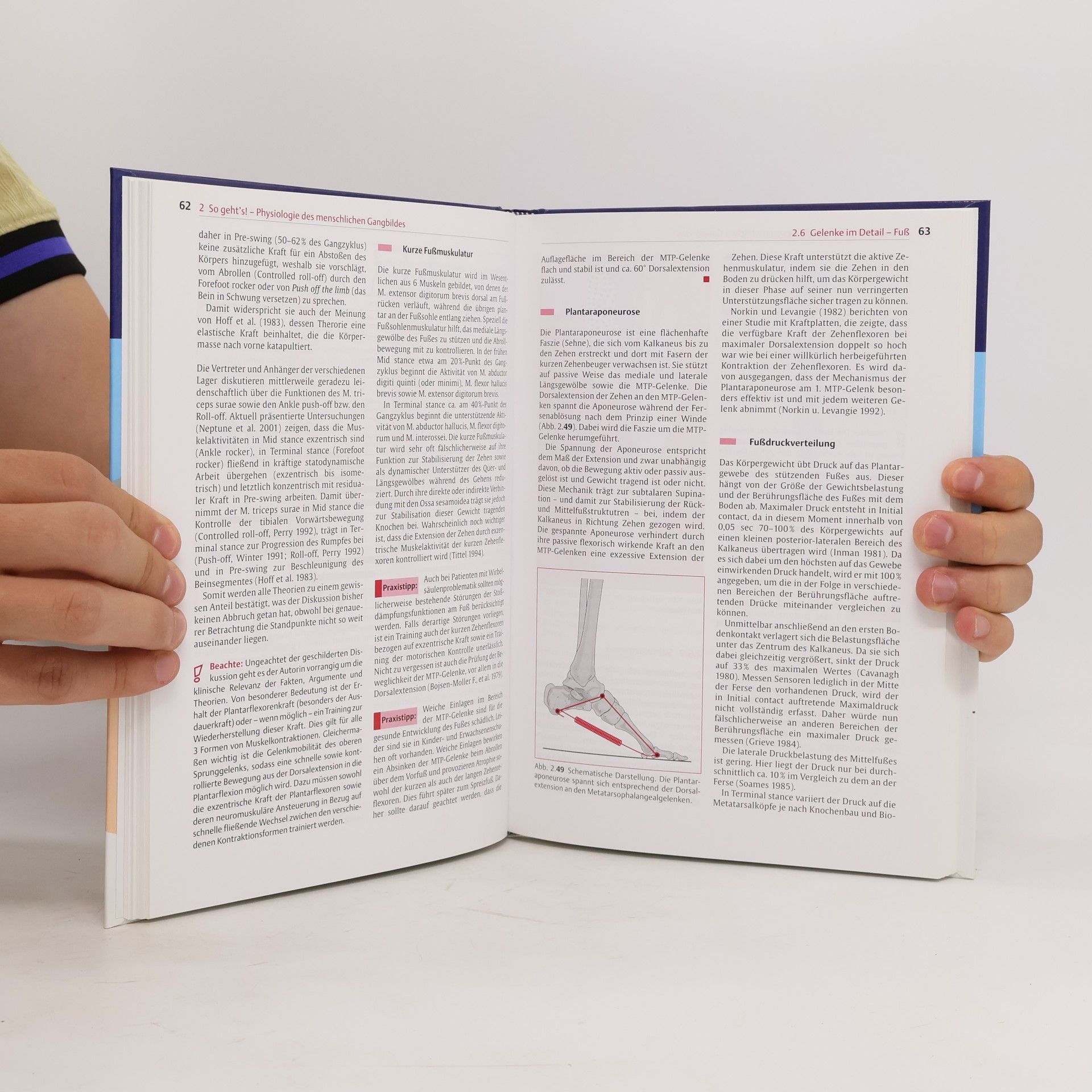 Kirsten Götz-Neumann Physiofachbuch: Gehen verstehen. Ganganalyse in der Physiotherapie - 3. Auflage