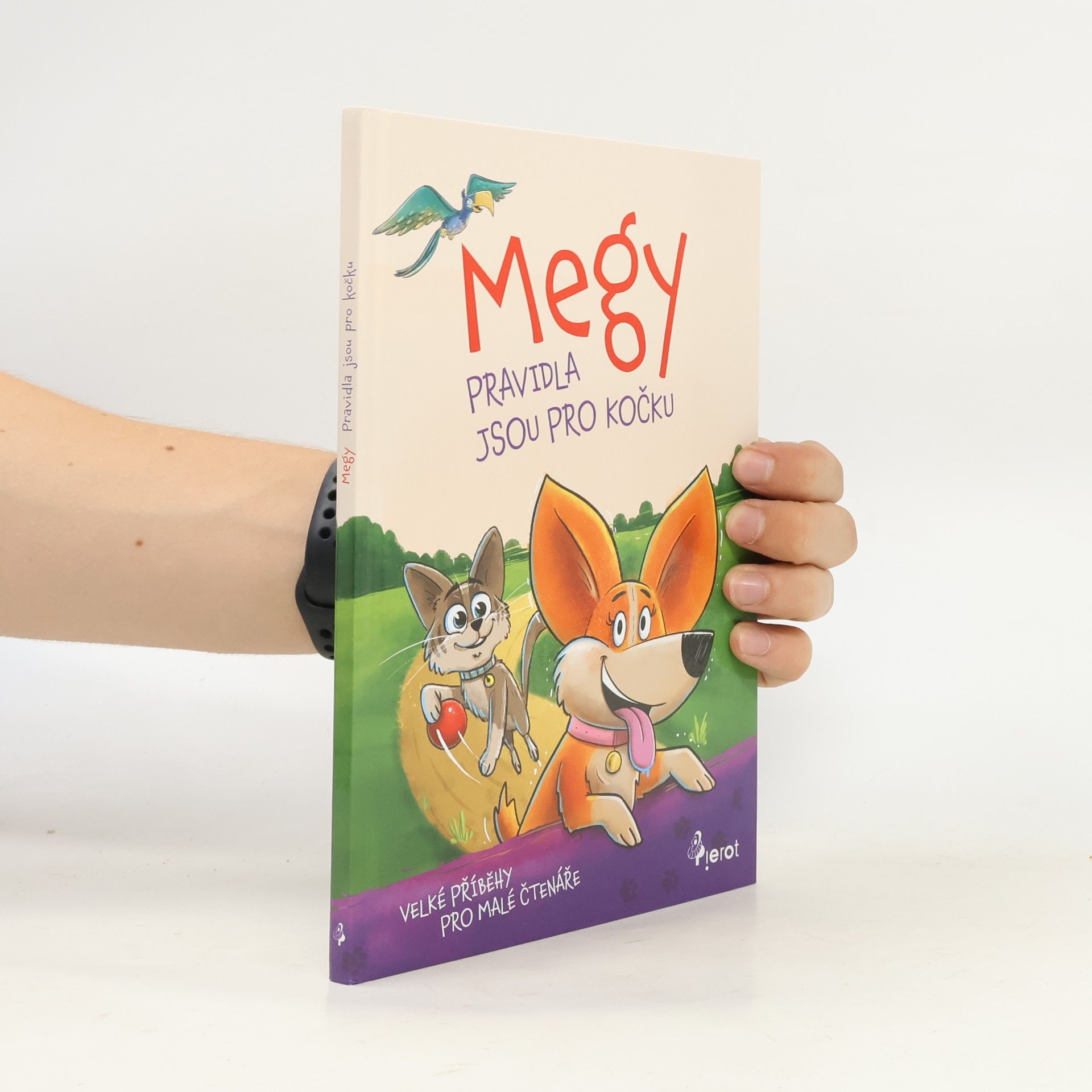 Petr Šulc Megy Pravidla jsou pro kočku