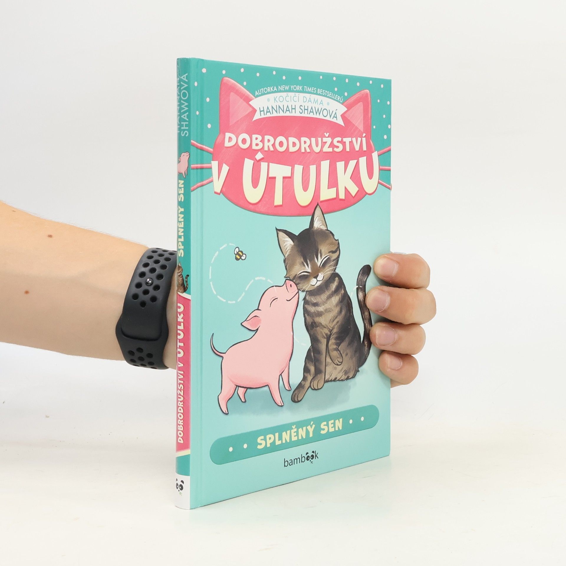 Dobrodružství v útulku – Splněný sen