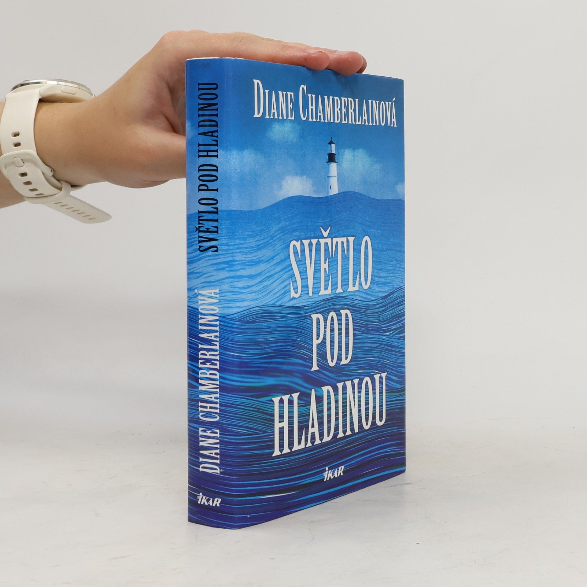 Diane Chamberlain Světlo pod hladinou