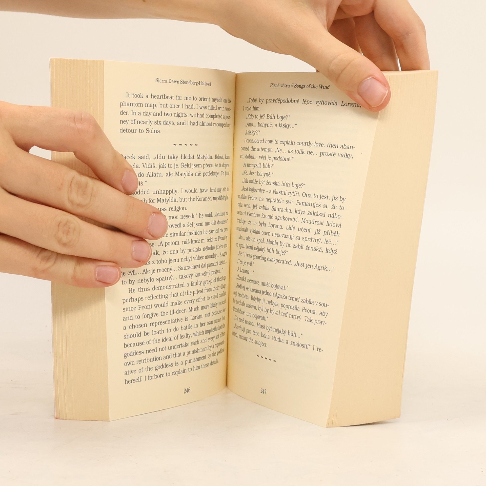 Sierra Dawn Stoneberg Holt Písně větru. The diaries of Lady Aesclinn Aelfraed of Aelfraedinnsford
