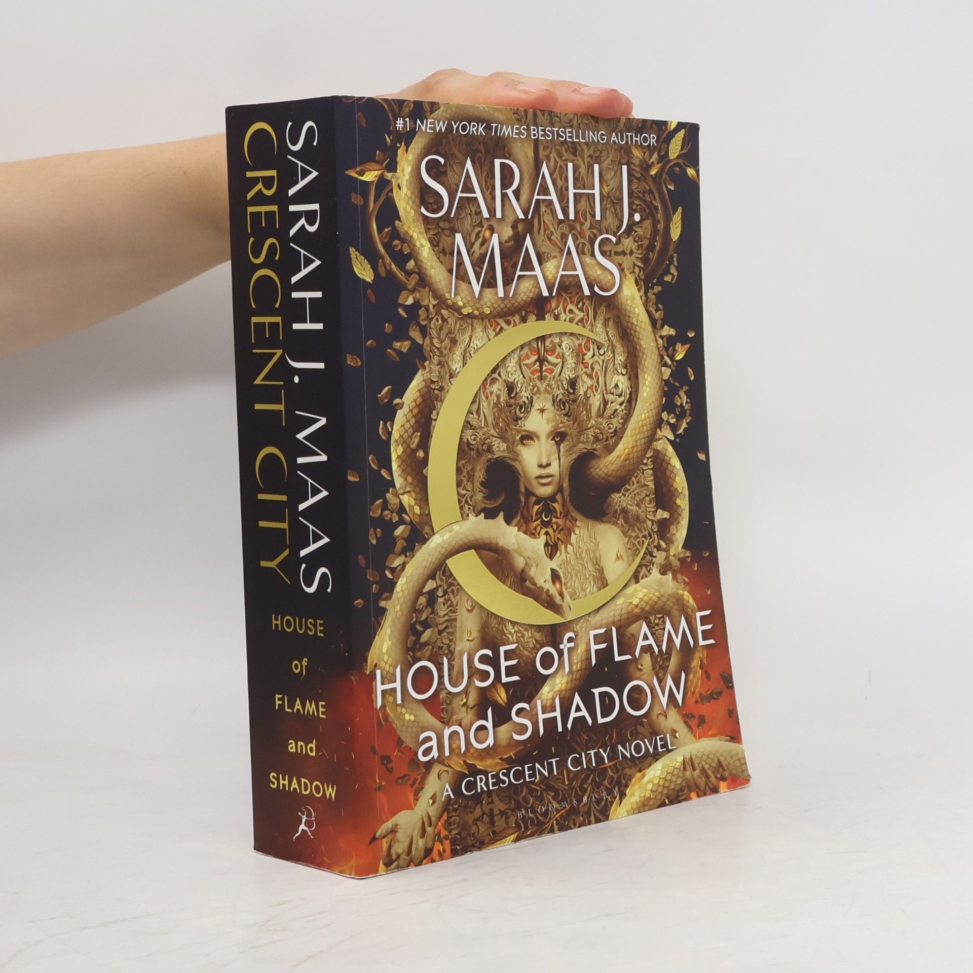 Sarah J. Maas House of Flame and Shadow