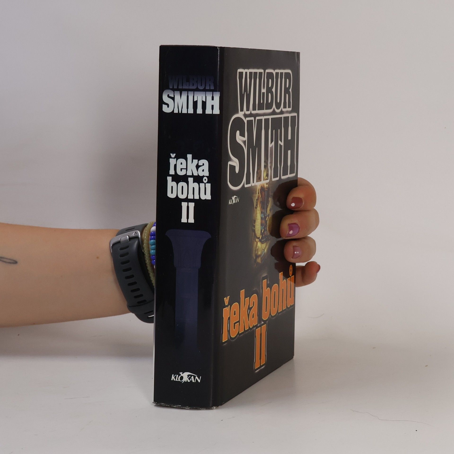 Wilbur Smith Řeka bohů II