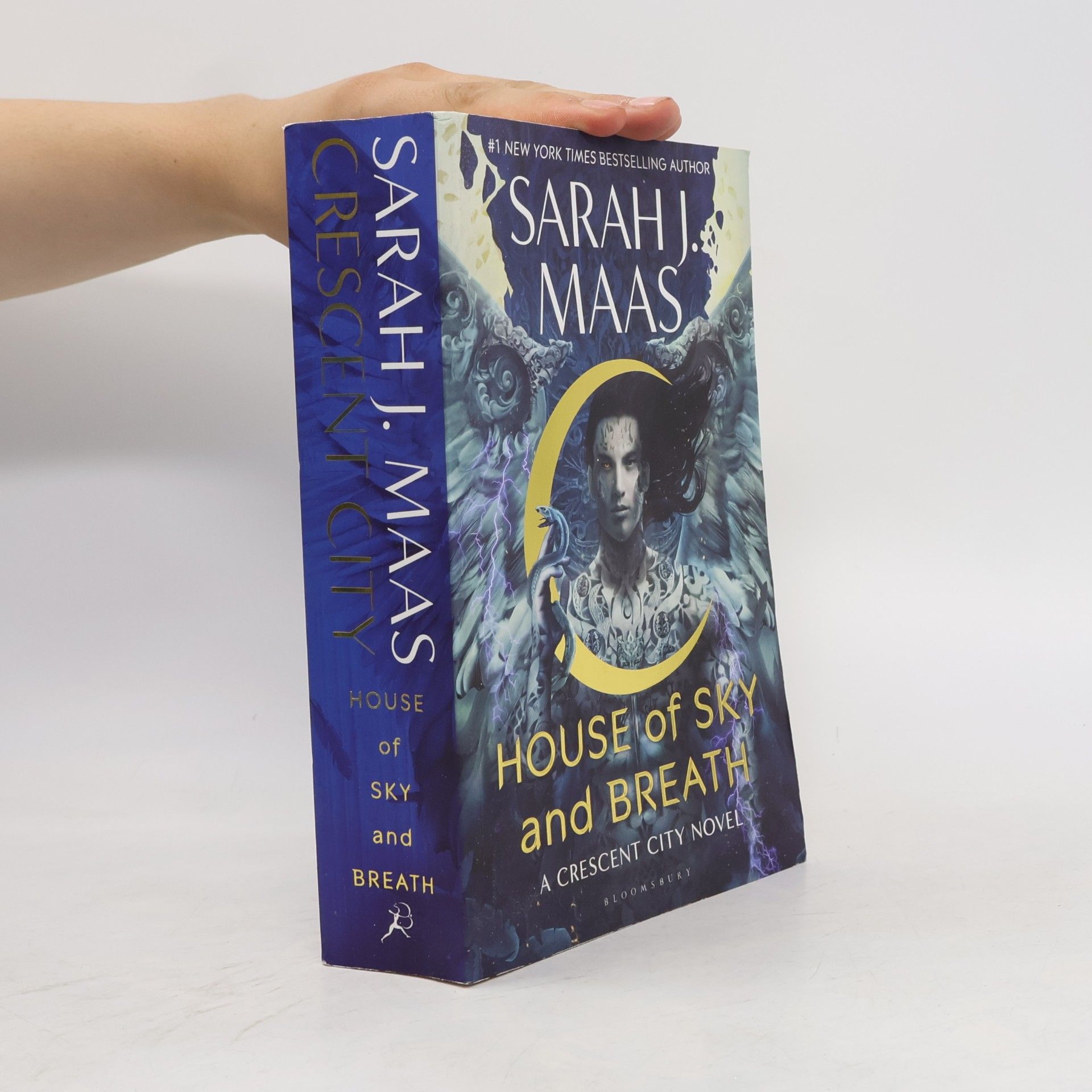 Sarah J. Maas House of sky and breath