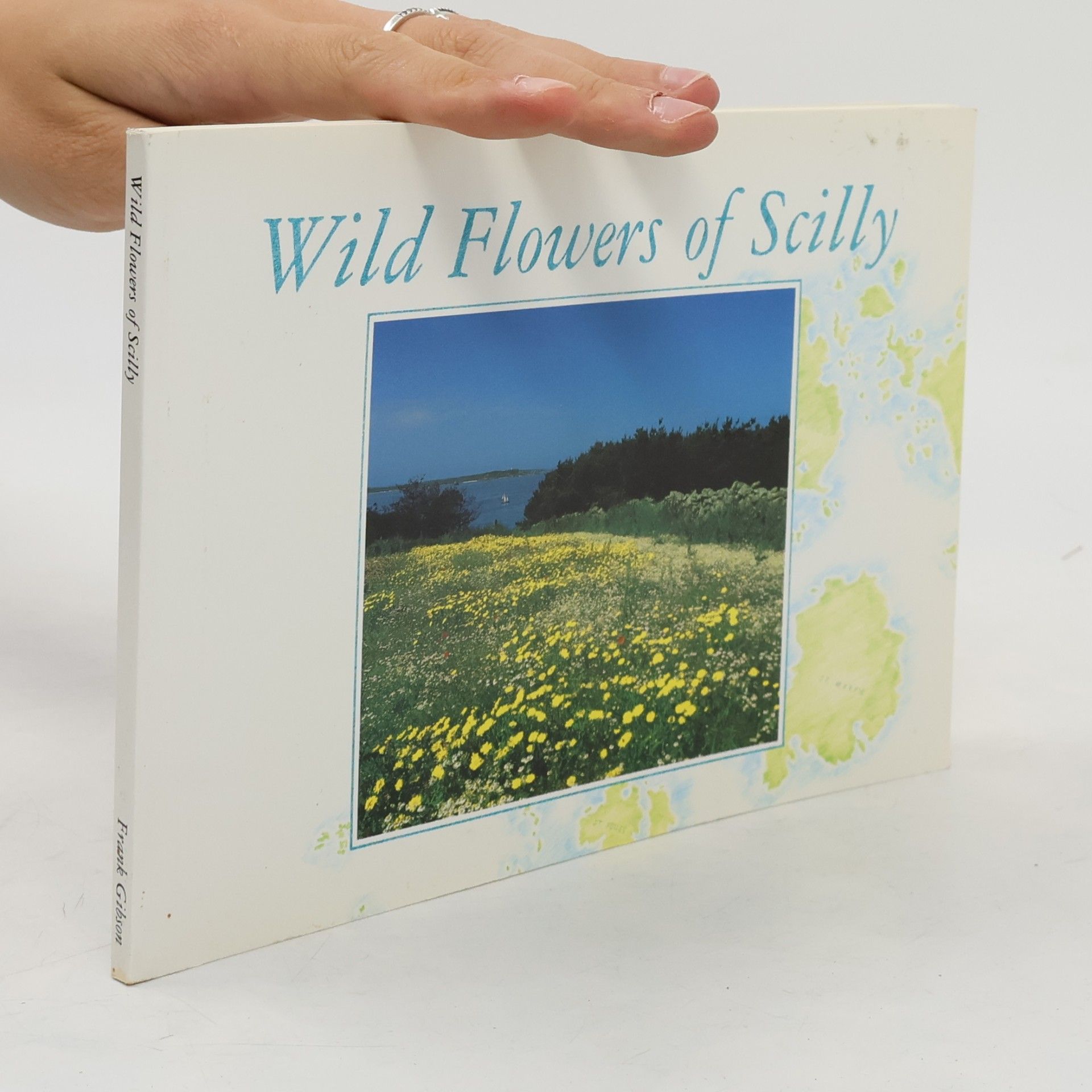 Wild Flowers of Scilly