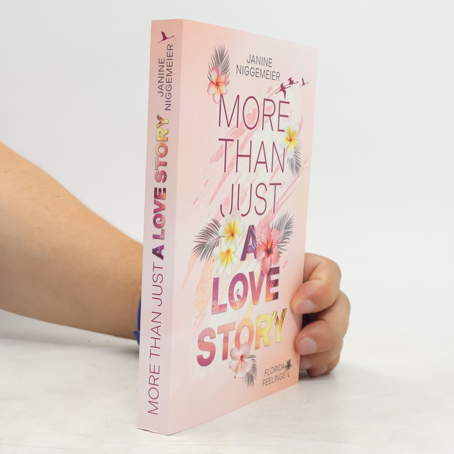Janine Niggemeier More Than Just a Love Story