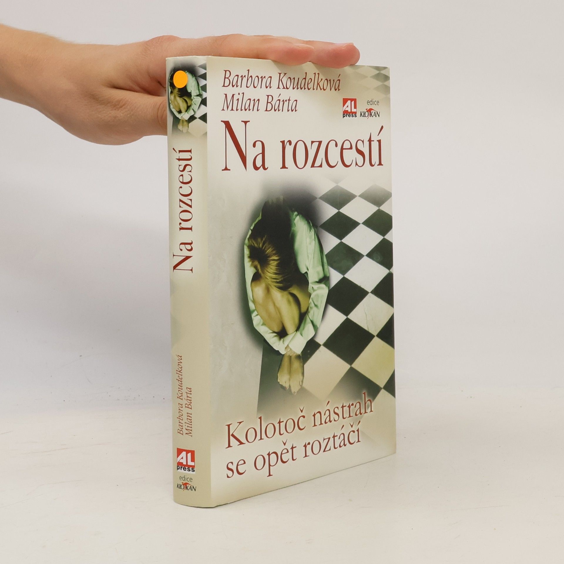 Barbora Koudelková Na rozcestí - Kolotoč nástrah se opět roztáčí