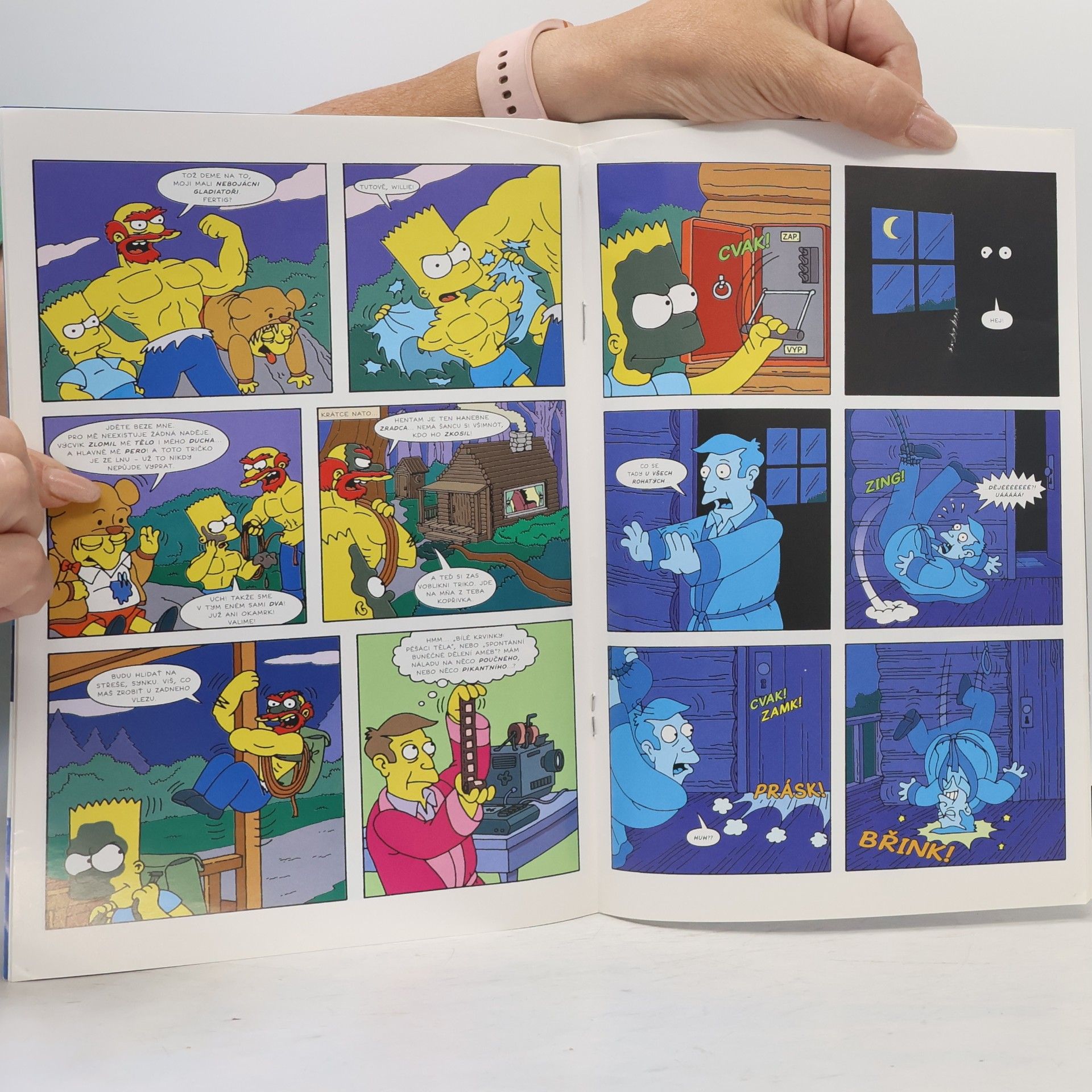 Various authors Simpsonovi 11/2023