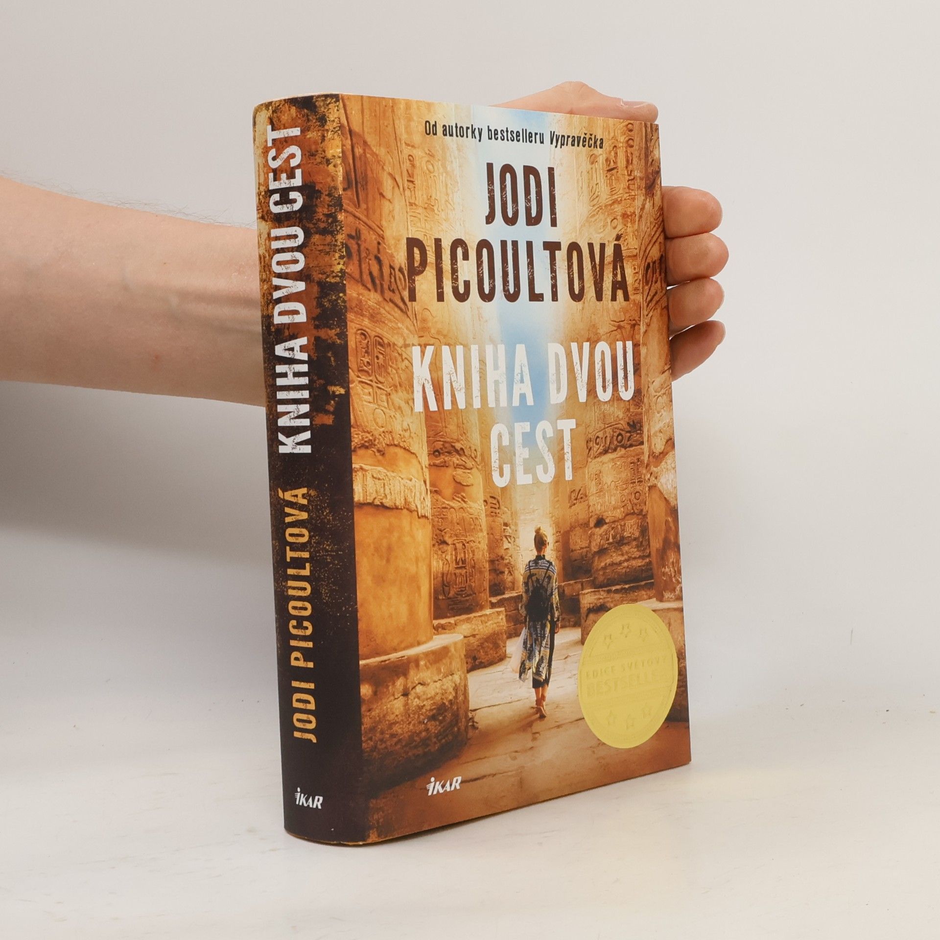 Jodi Picoult Kniha dvou cest