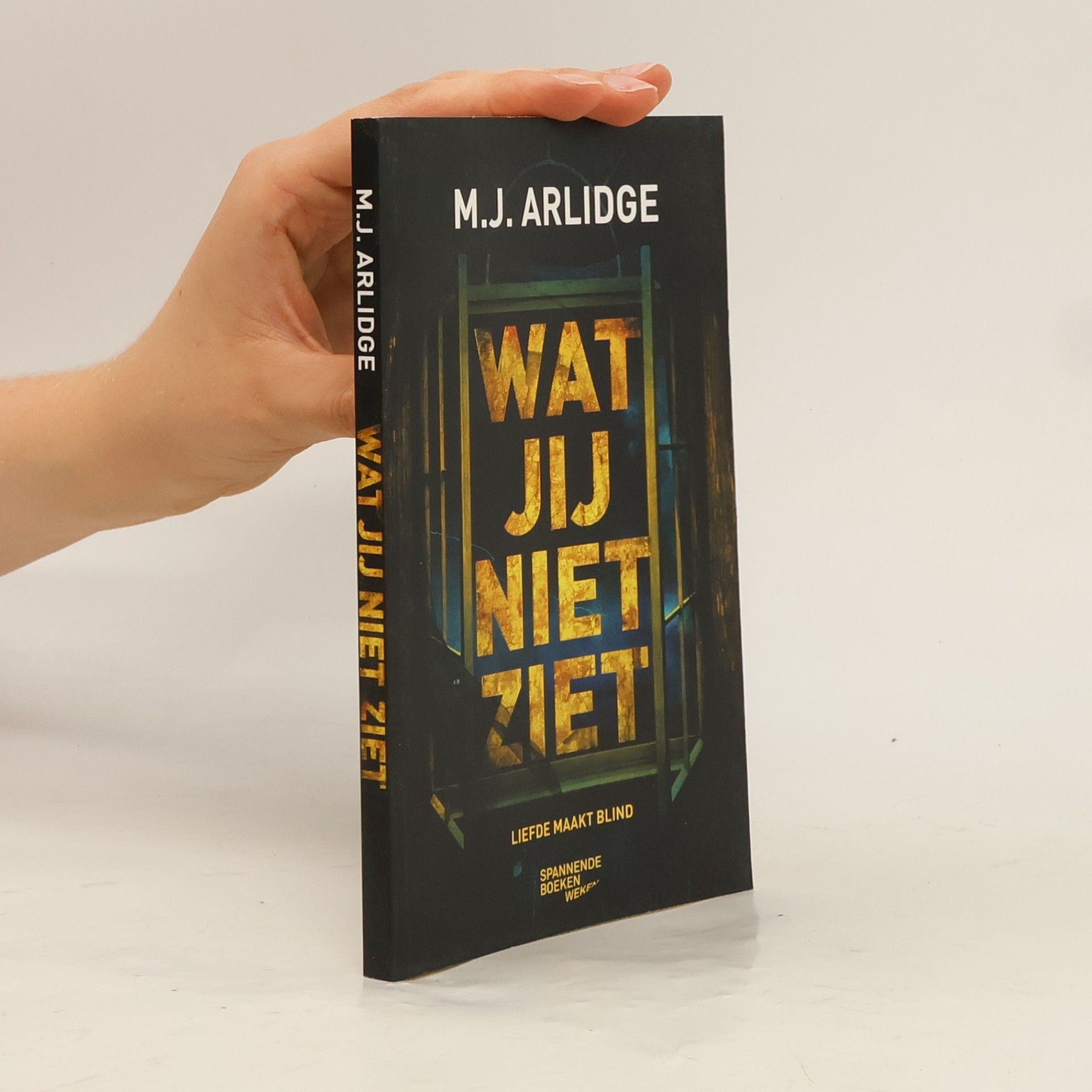 M. J. Arlidge Wat jij niet ziet