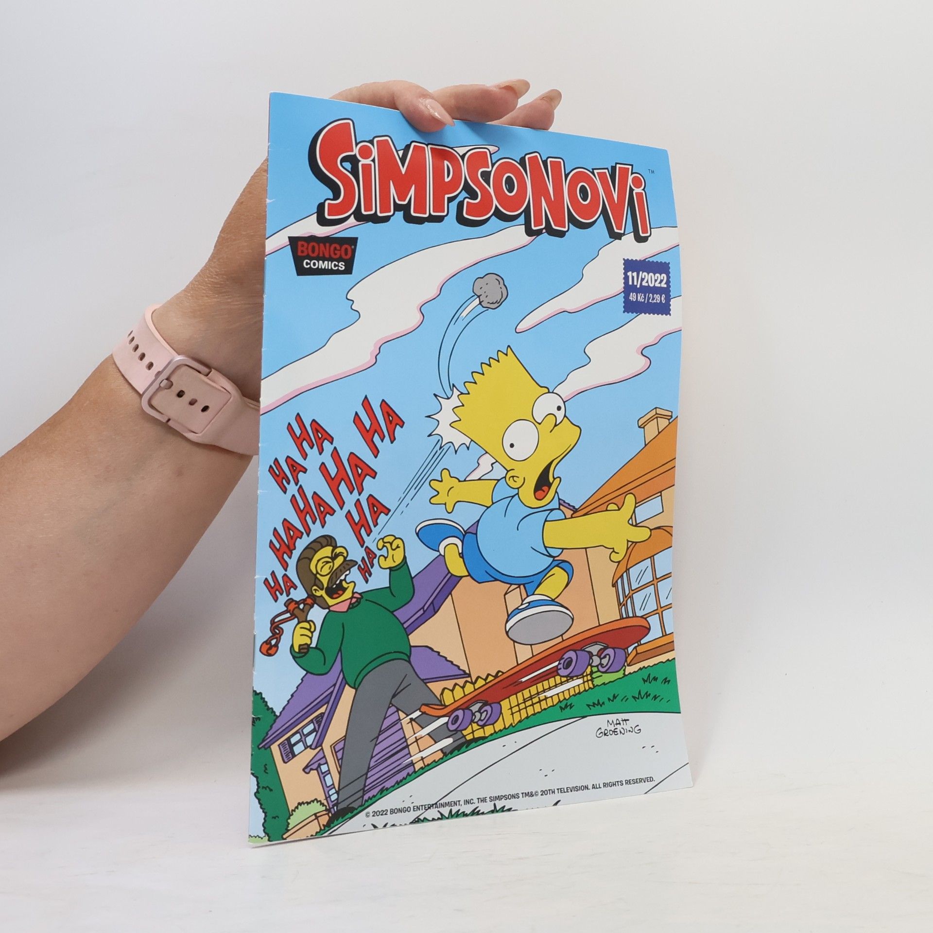 AA.VV. Simpsonovi 11/2022