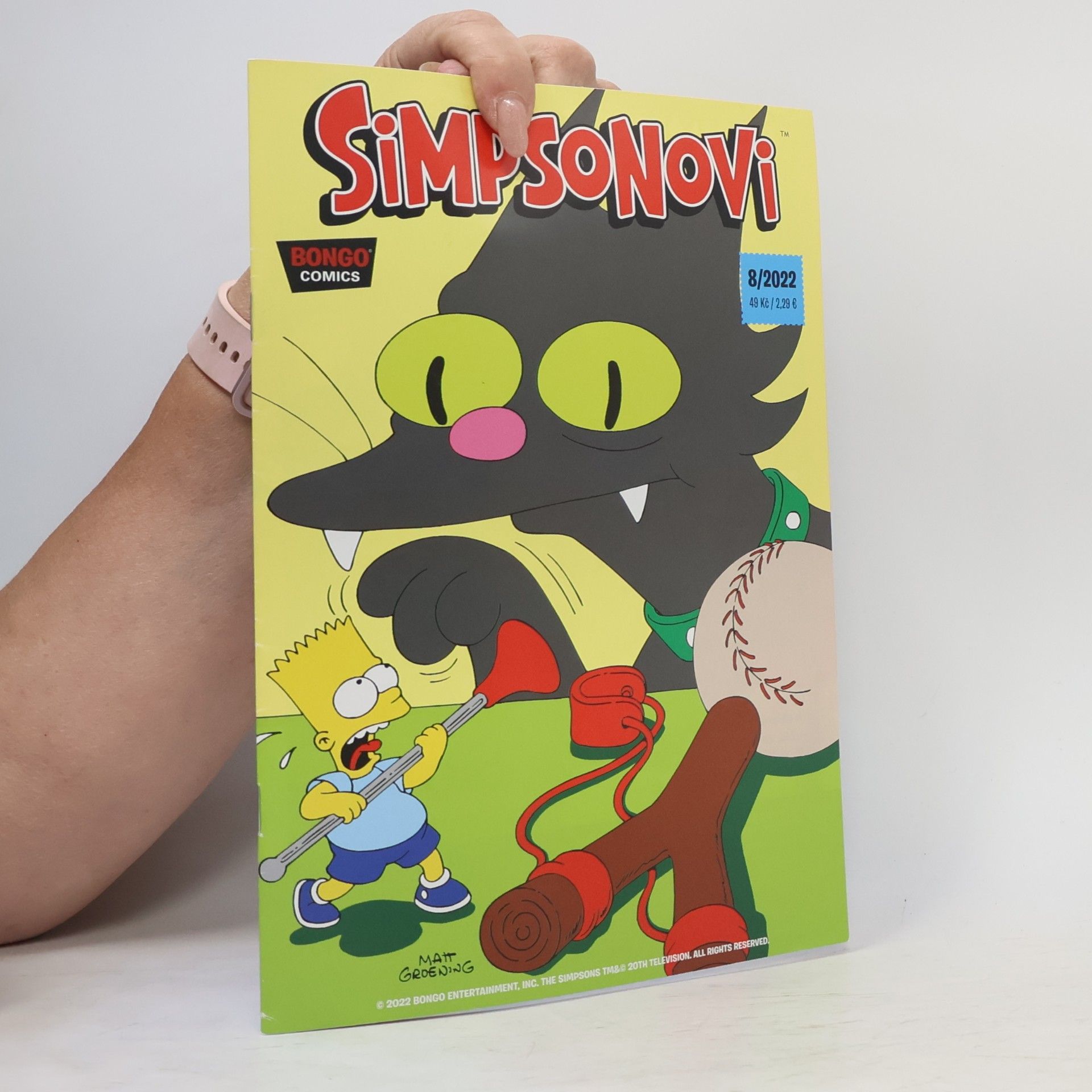 AA.VV. Simpsonovi 8/2022