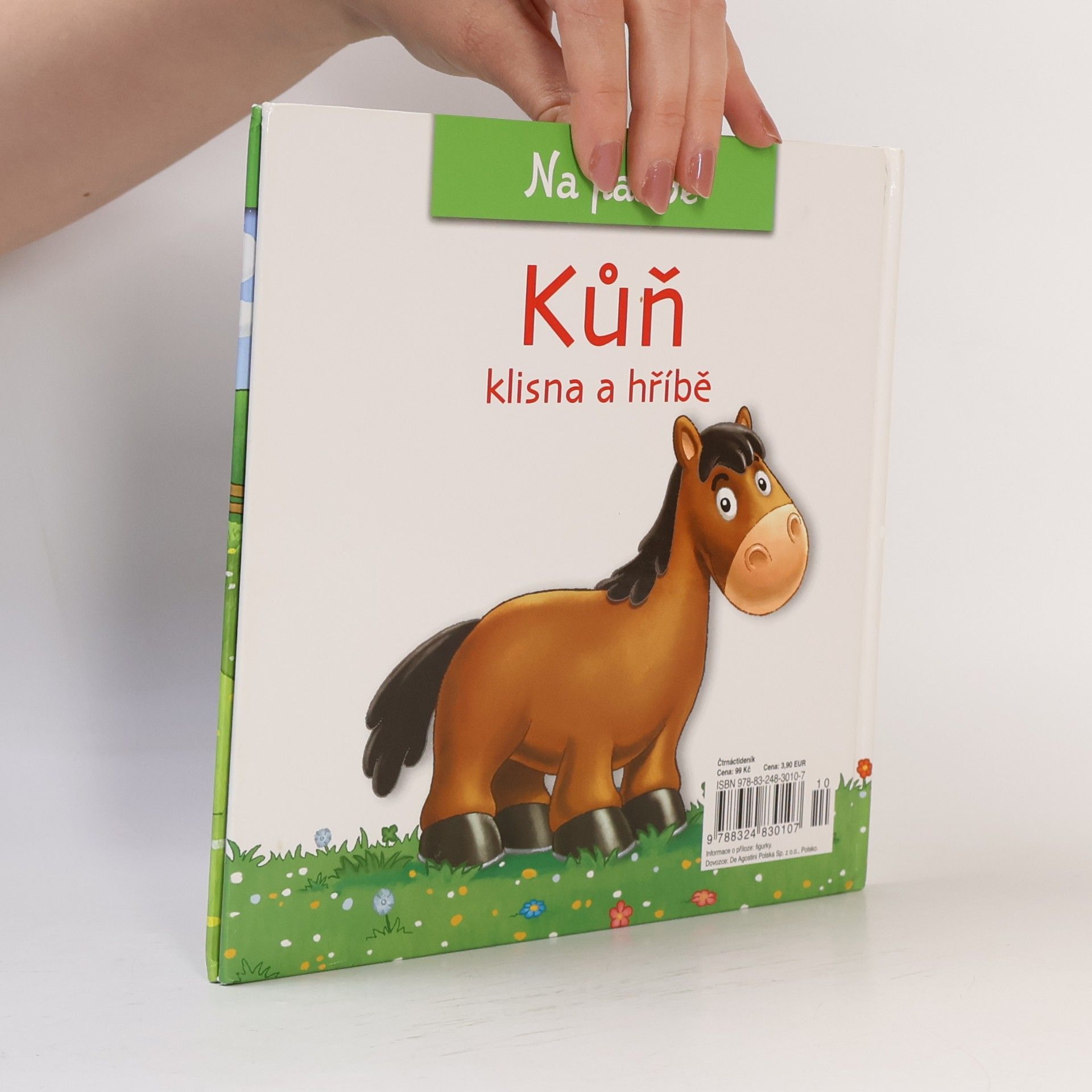 Christine Serbource Kůň, klisna a hříbě