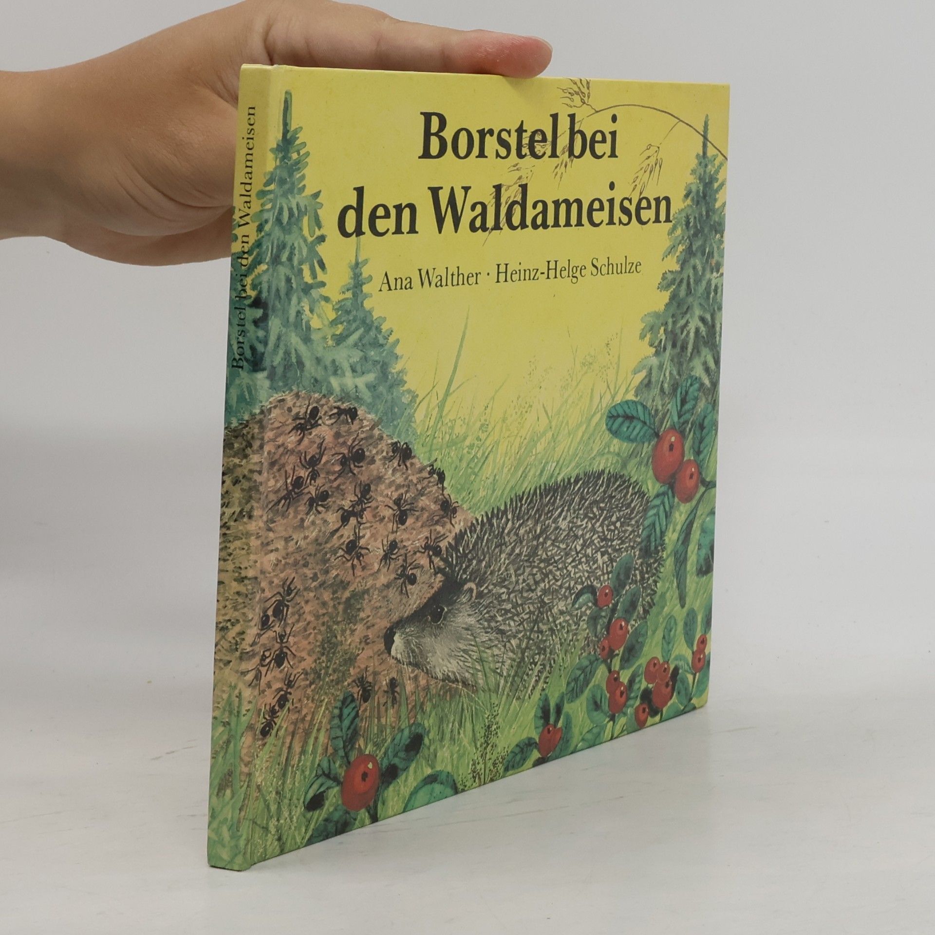 Ana Walther Borstel bei den Waldameisen