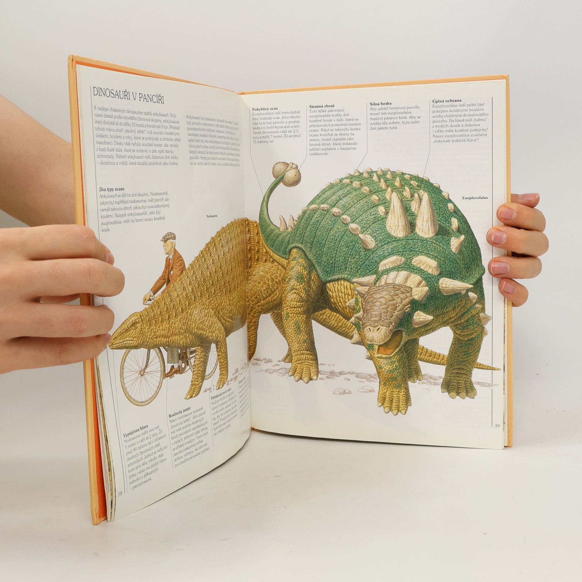 Steve Parker Jak žili dinosauři