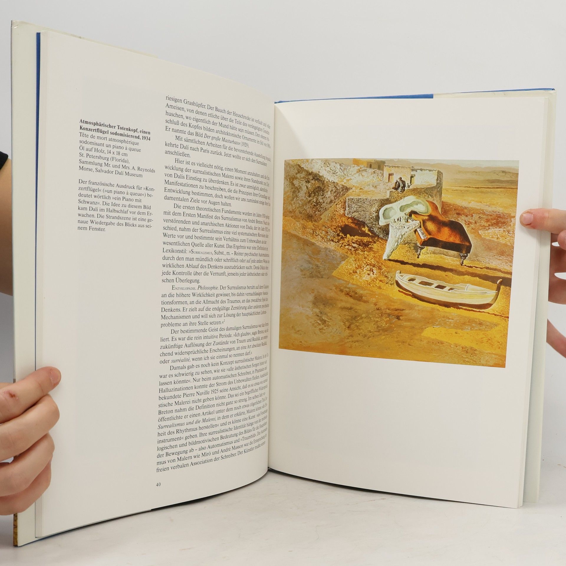 Conory Maddox Salvador Dalí. Exzentrik und Genie