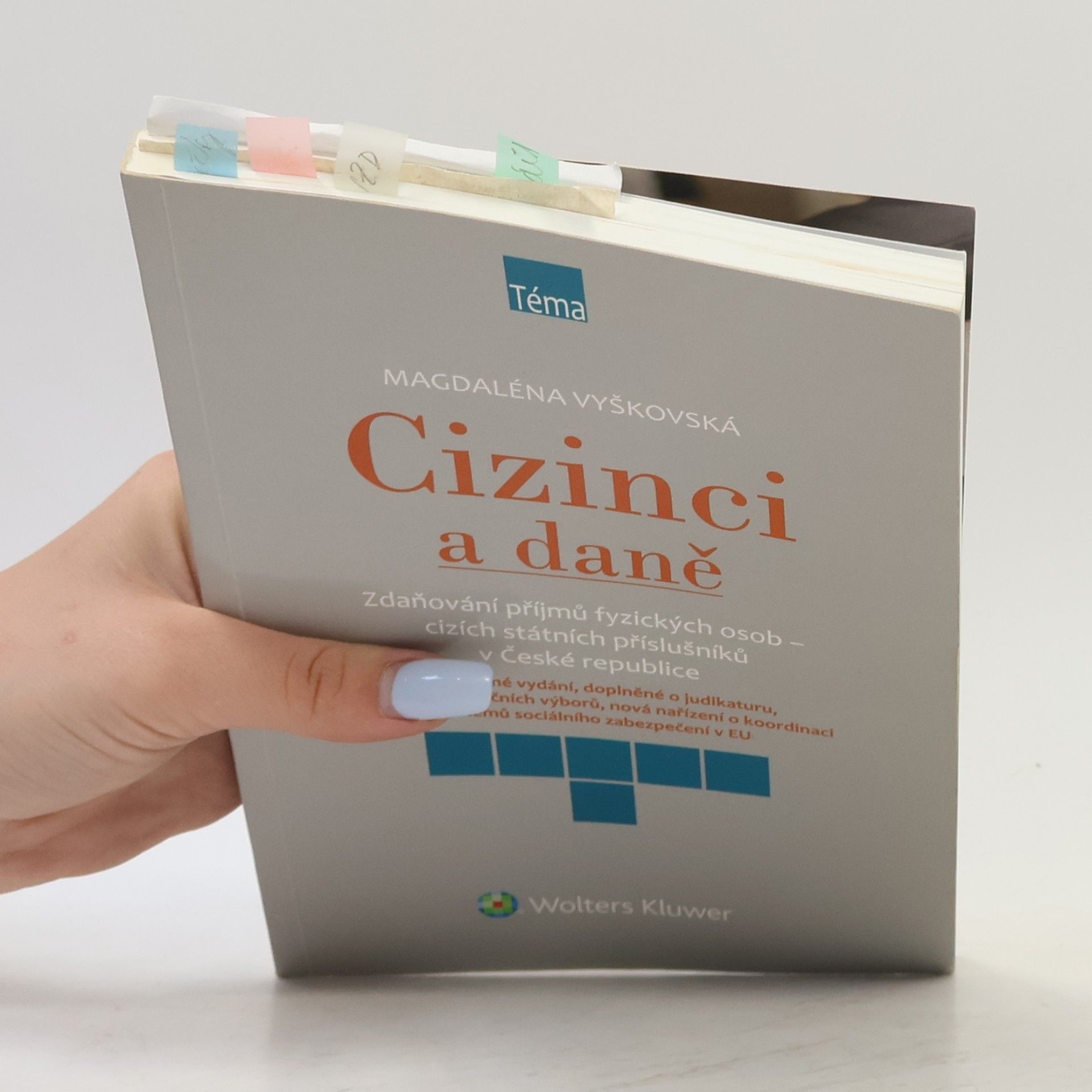 Magdaléna Vyškovská Cizinci a daně