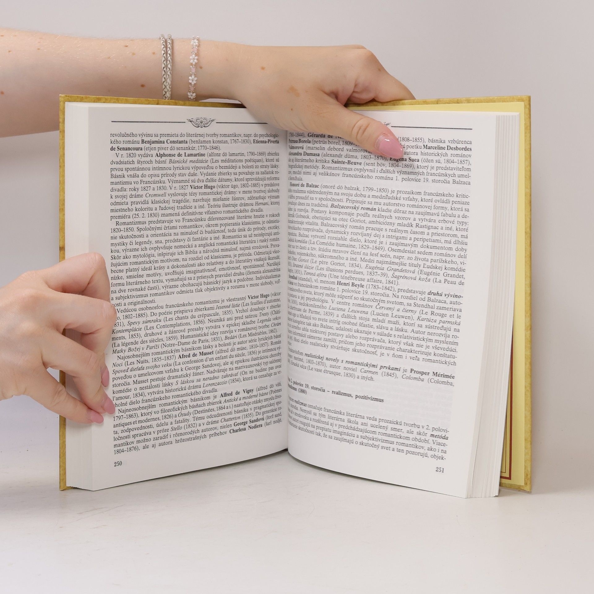 Autorenkollektiv Rukoväť literatúry